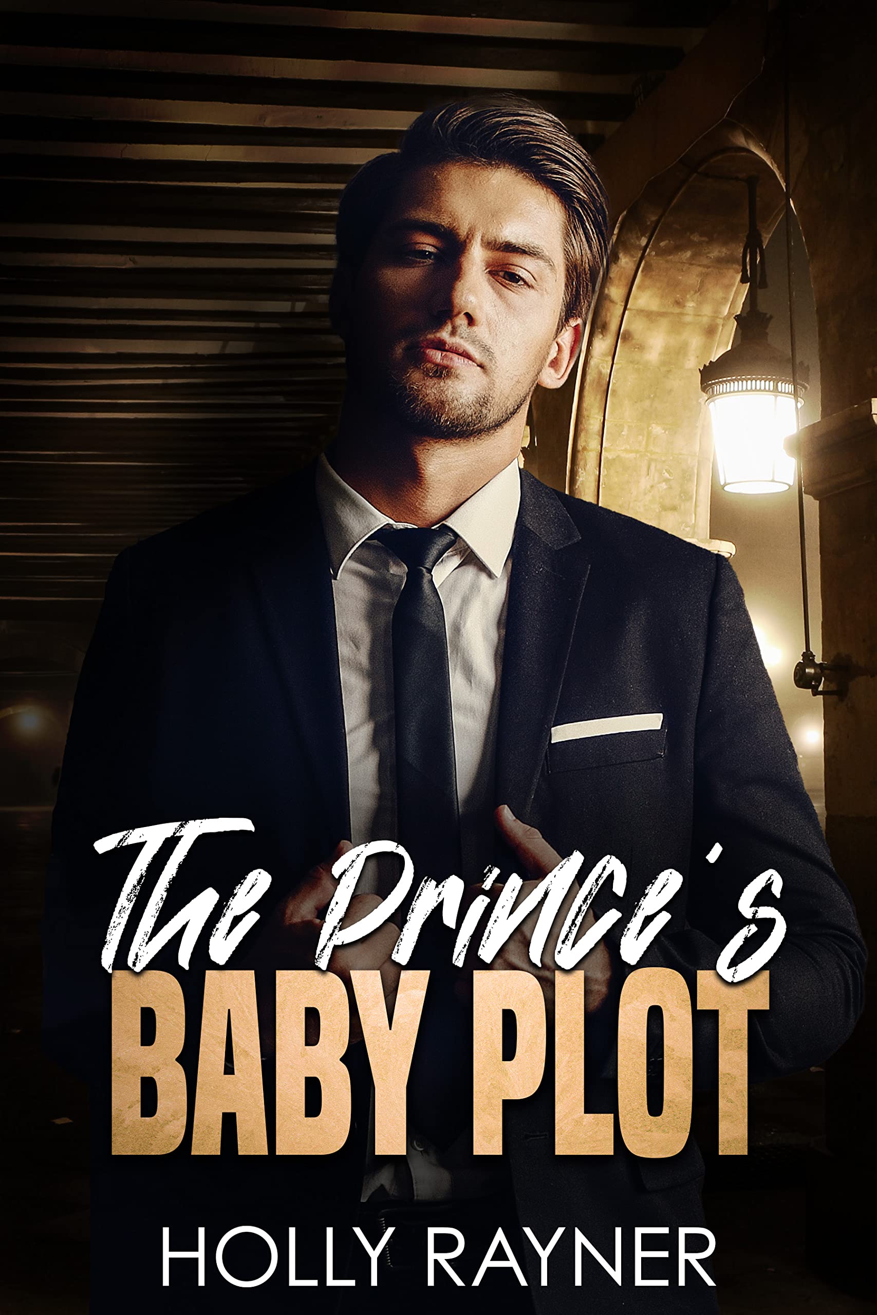 The Prince's Baby Plot book cover