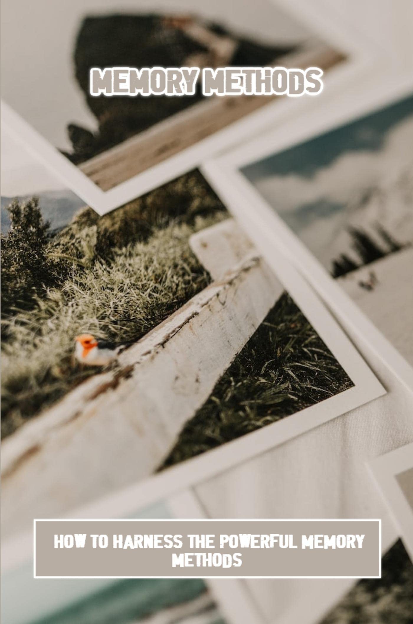 Memory Methods How To Harness The Powerful Memory Methods by Houston