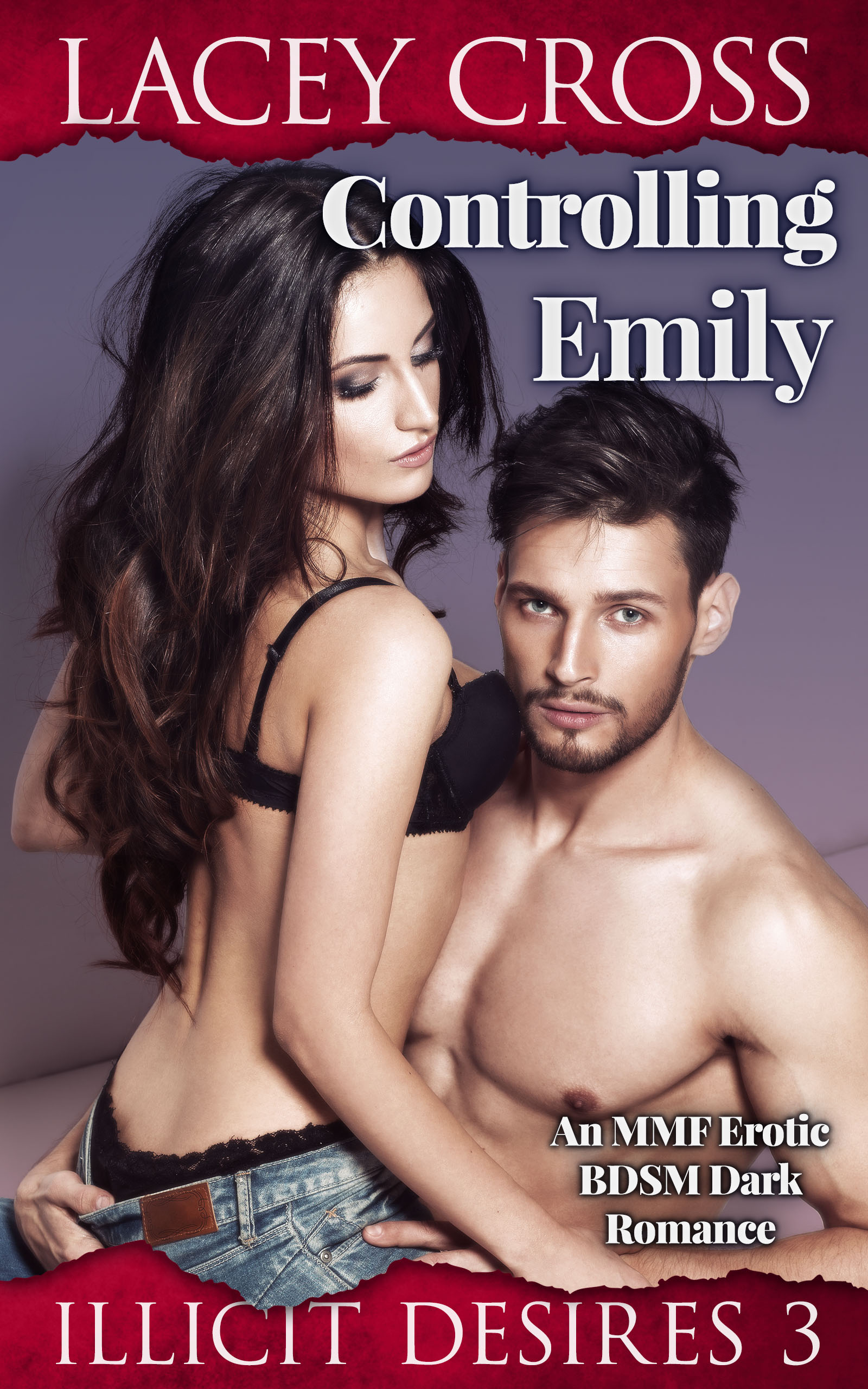 Illicit Desires book cover 3