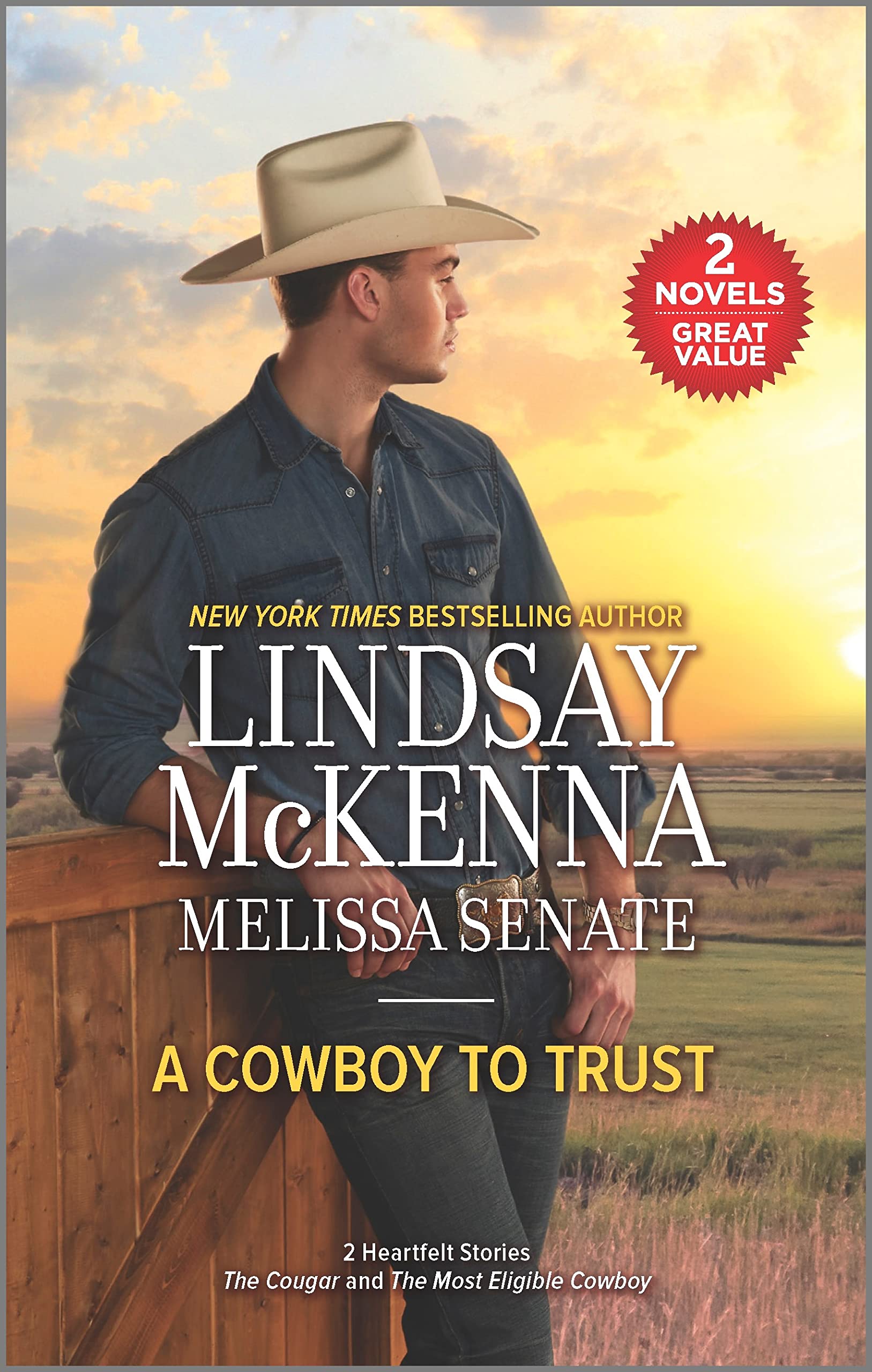 A Cowboy to Trust book cover