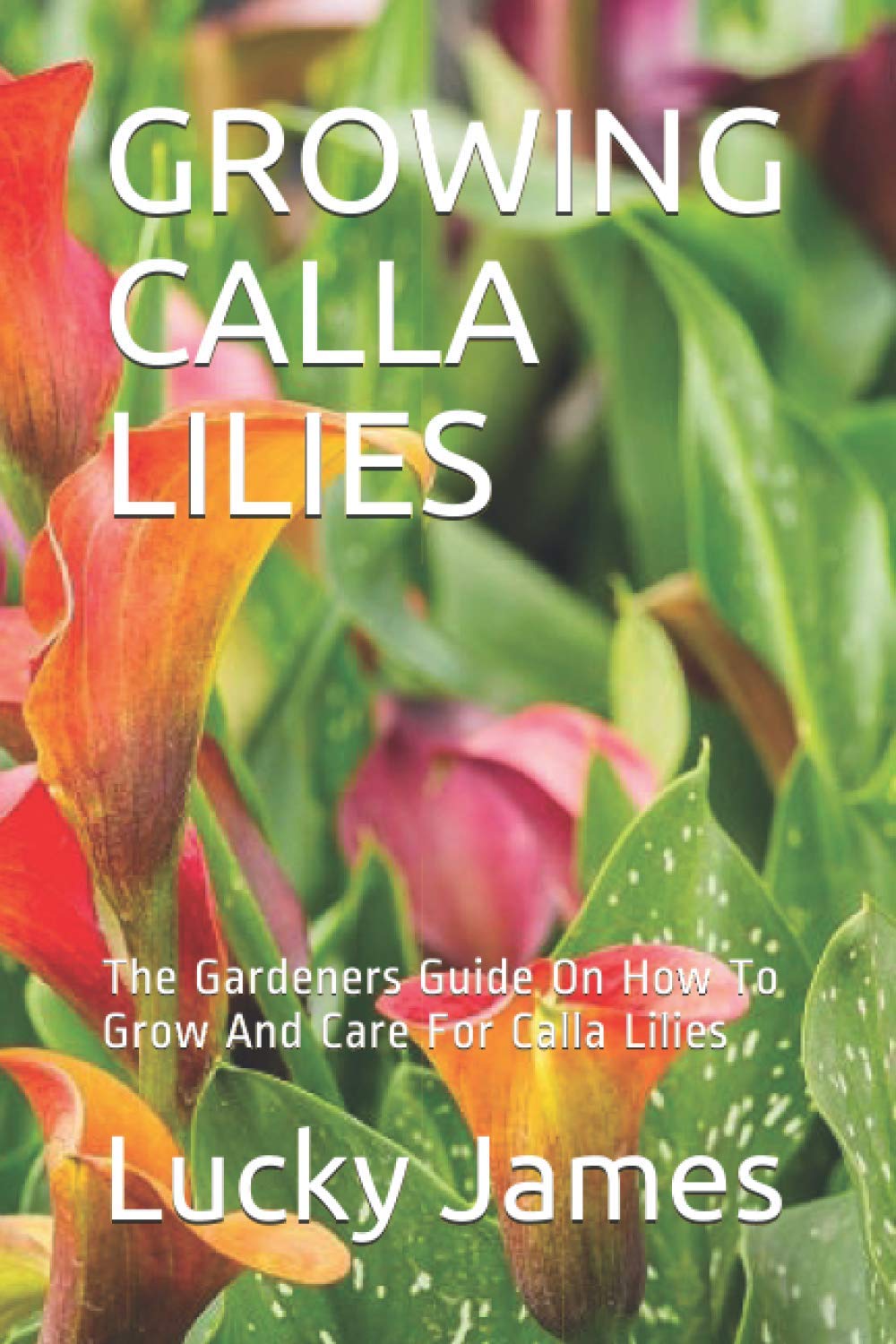 GROWING CALLA LILIES The Gardeners Guide On How To Grow And Care For