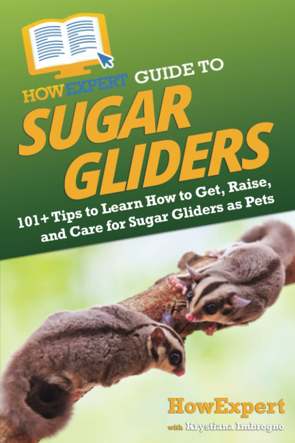 HowExpert Guide to Sugar Gliders 101+ Tips to Learn How to Get, Raise