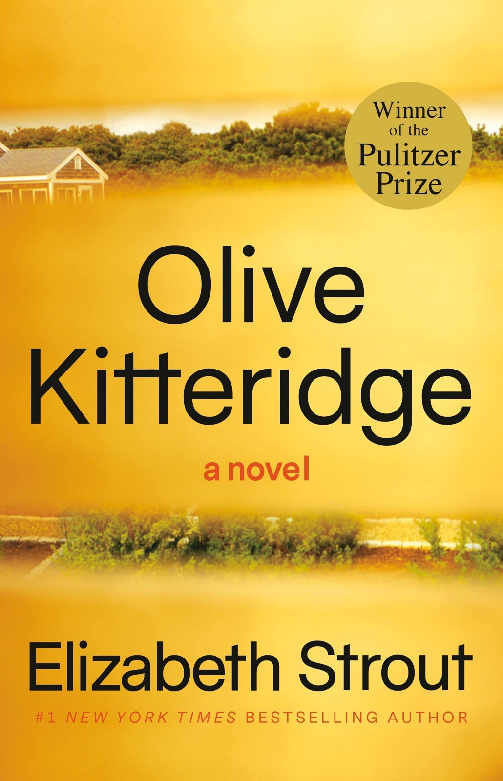 Olive Kitteridge by Elizabeth Strout Goodreads