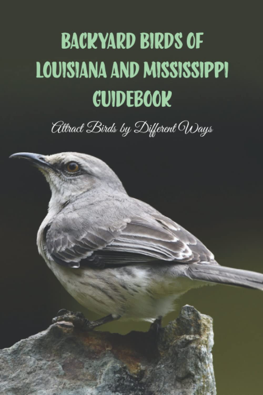 Backyard Birds of Louisiana and Mississippi Guidebook Attract Birds by