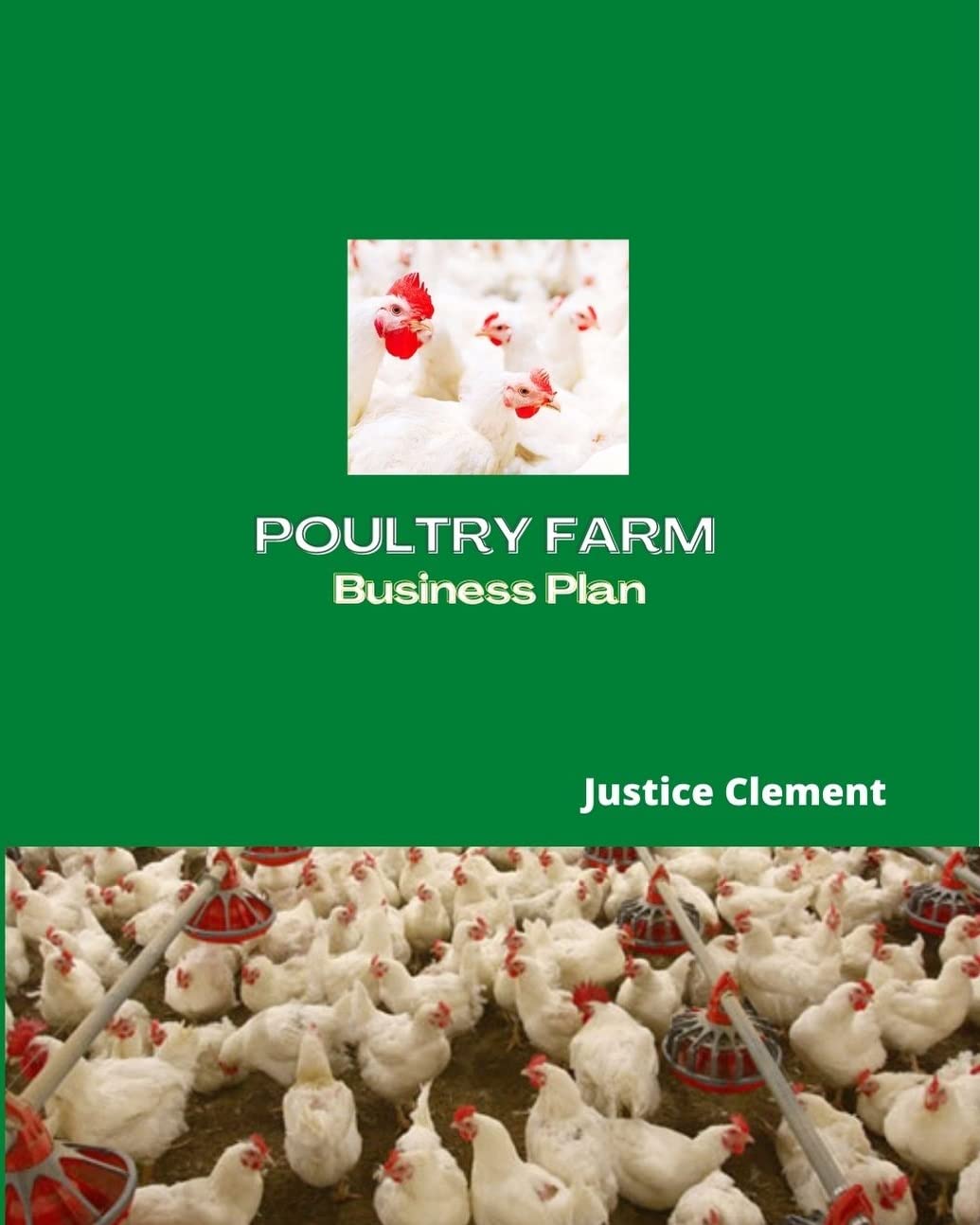 POULTRY FARM BUSINESS PLAN Broiler production, Egg production, Birds