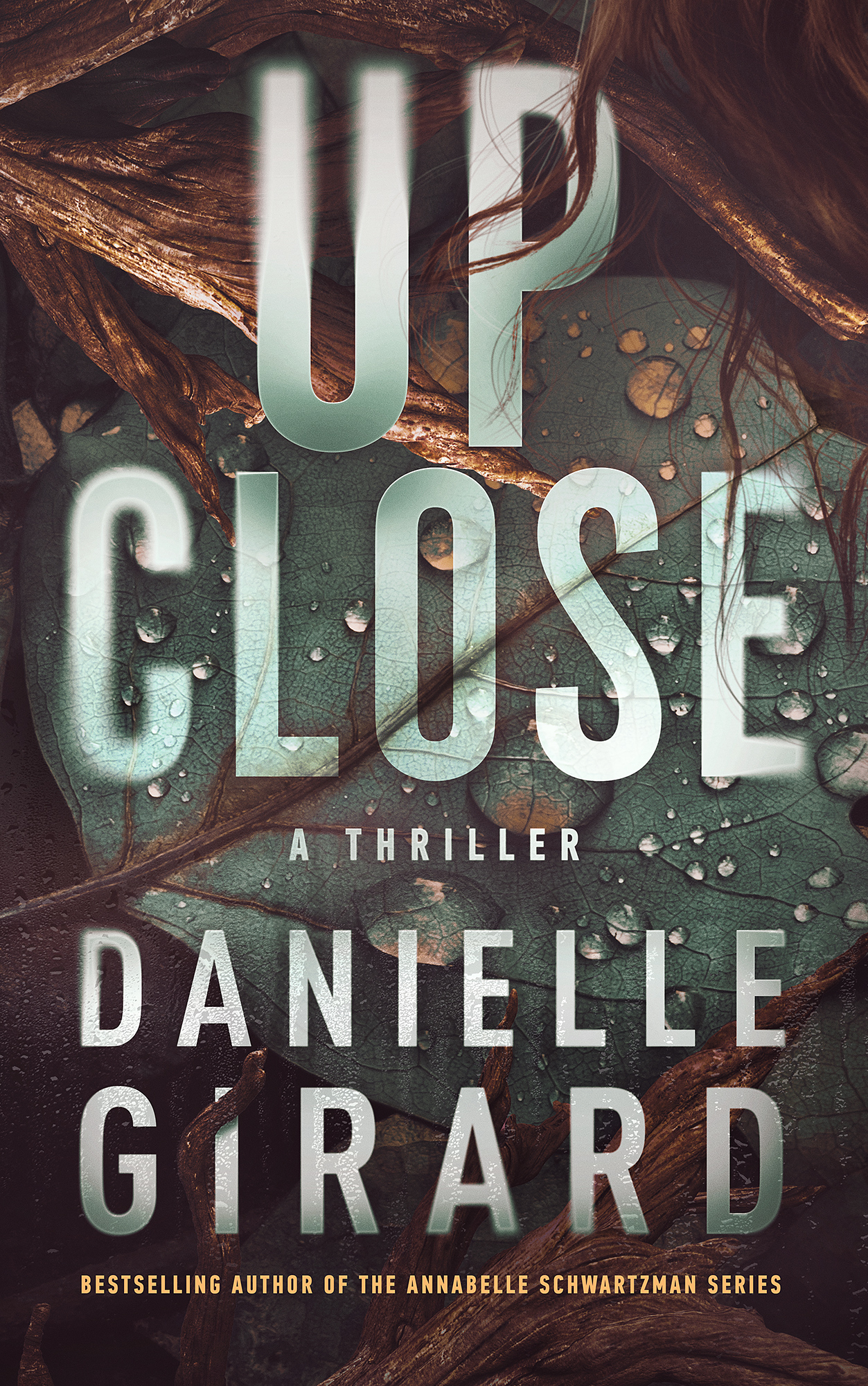 Badlands Thriller book cover 3