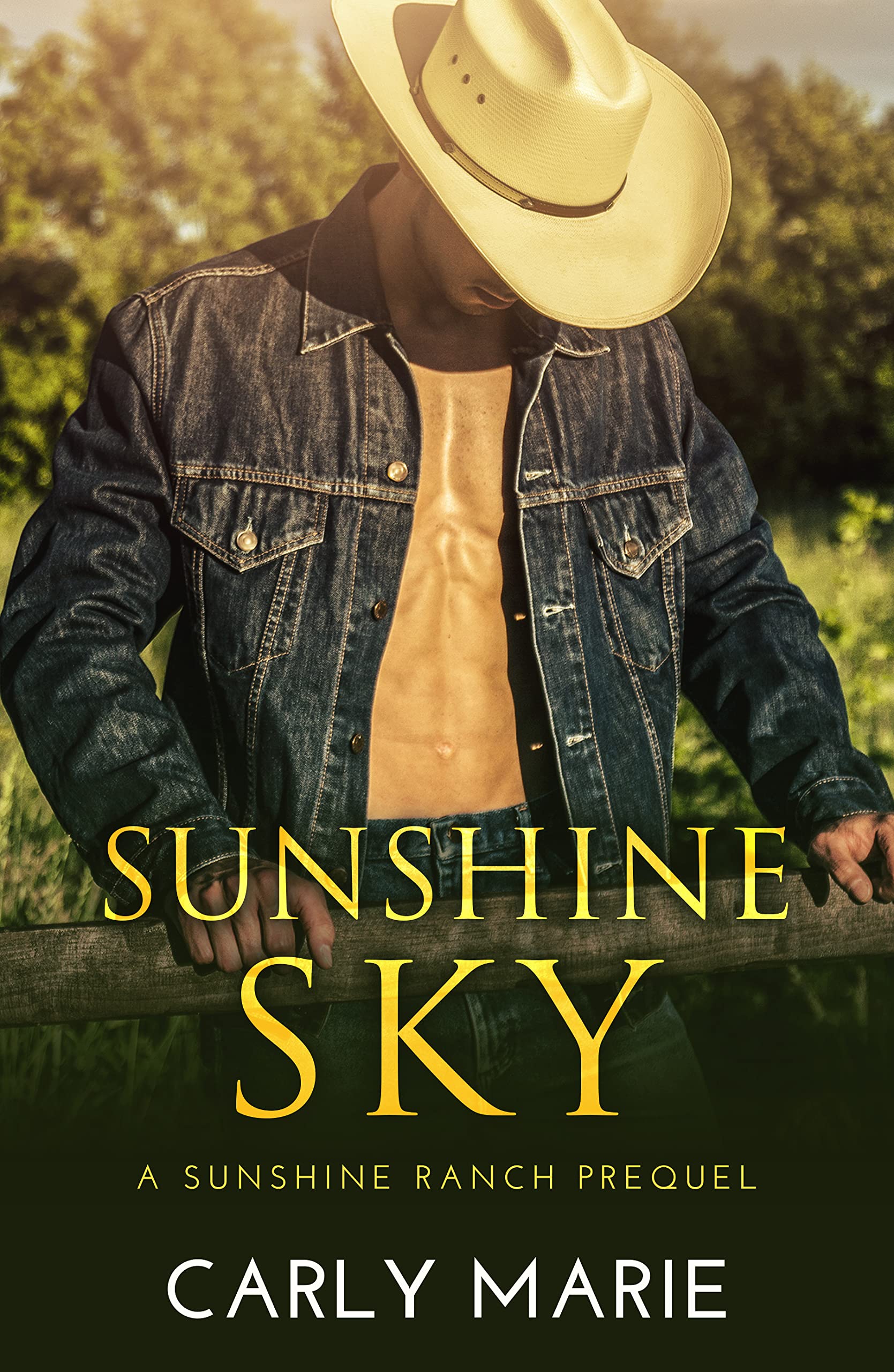 Sunshine Sky book cover
