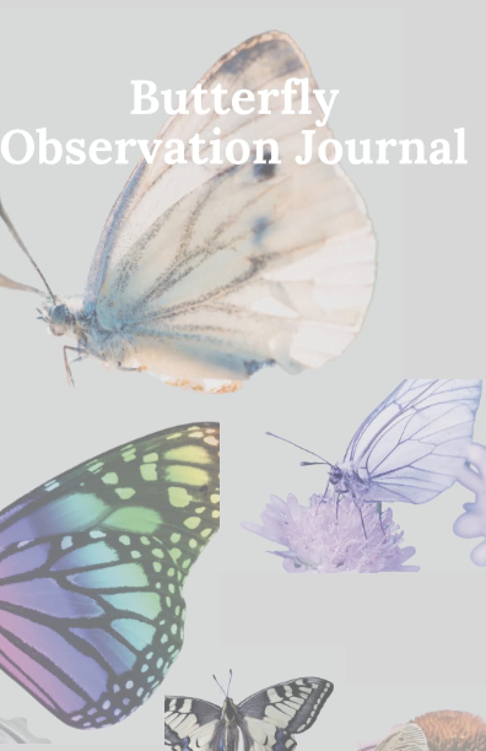 Butterfly Observation Journal Nature's Beauty Recorded 5.5 x 8.5 Lined Notebook by Sally