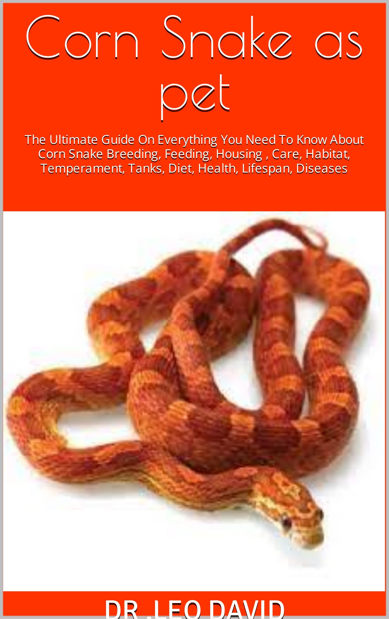 Corn Snake as pet The Ultimate Guide On Everything You Need To Know