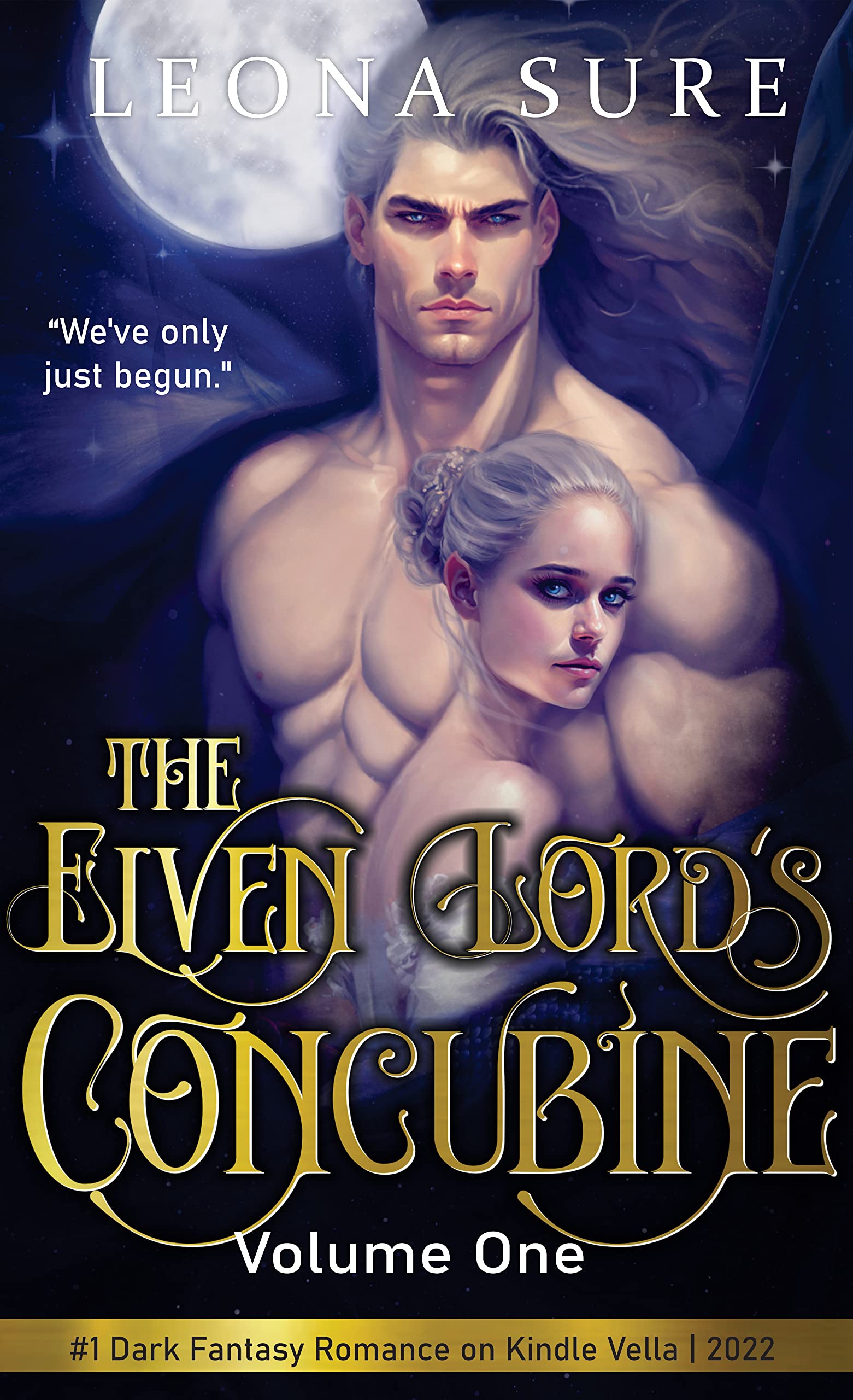 The Elven Lord's Concubine: Volume One