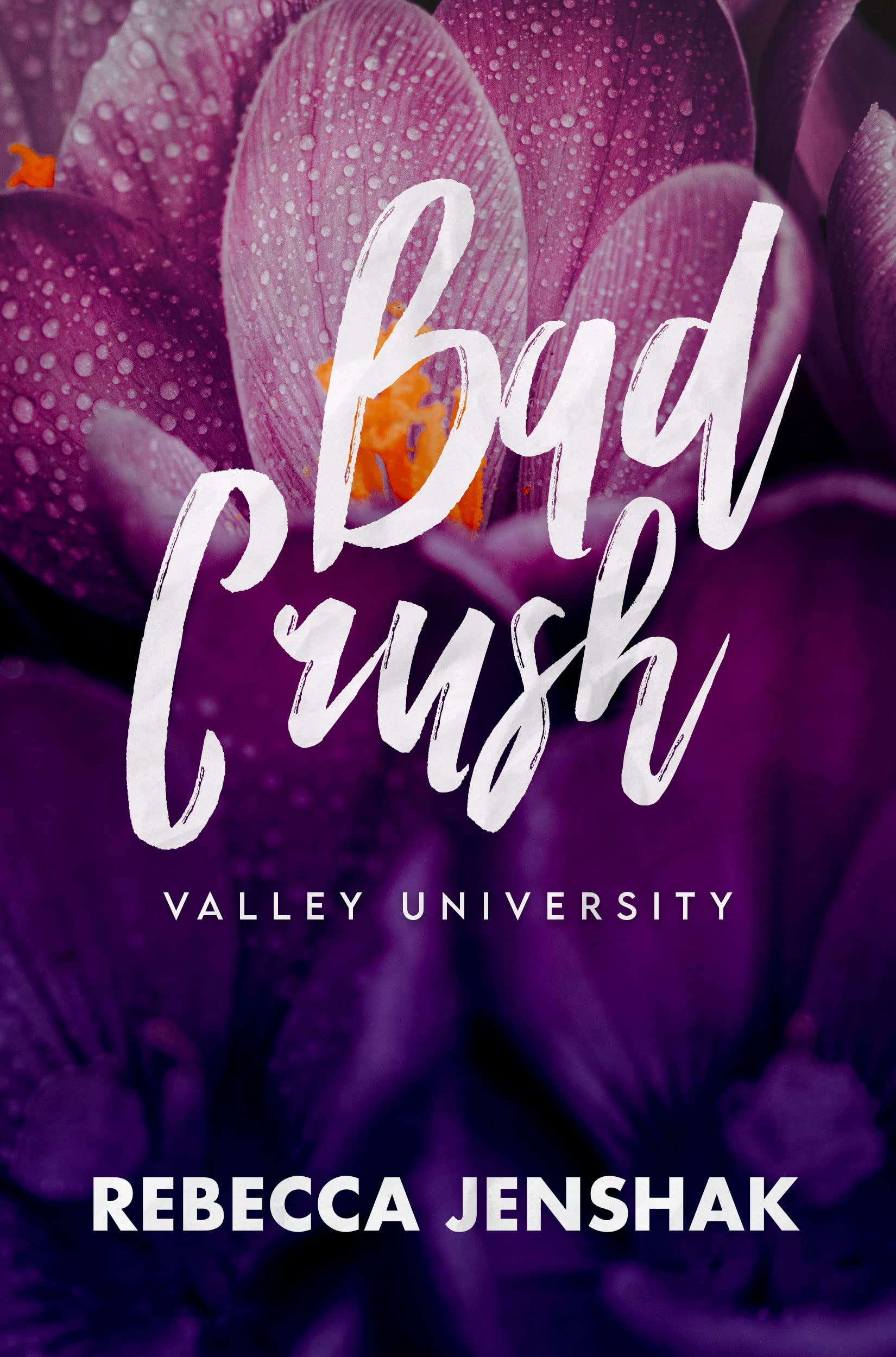 Bad Crush (Valley University #2)