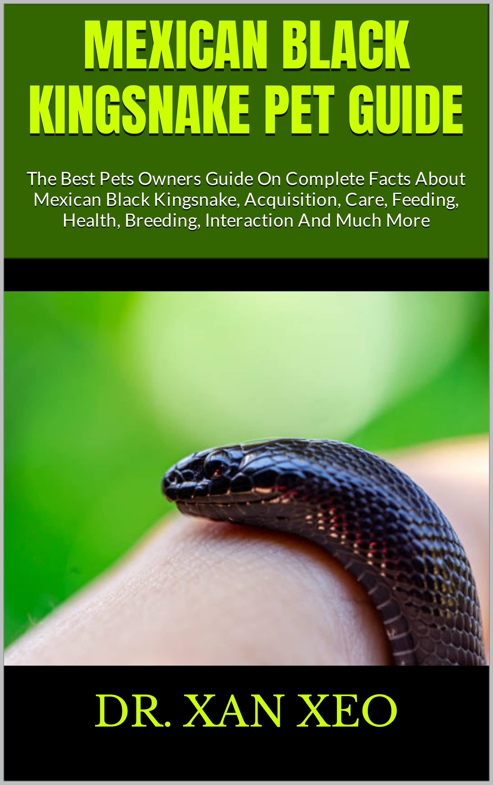 MEXICAN BLACK KINGSNAKE PET GUIDE The Best Pets Owners Guide On