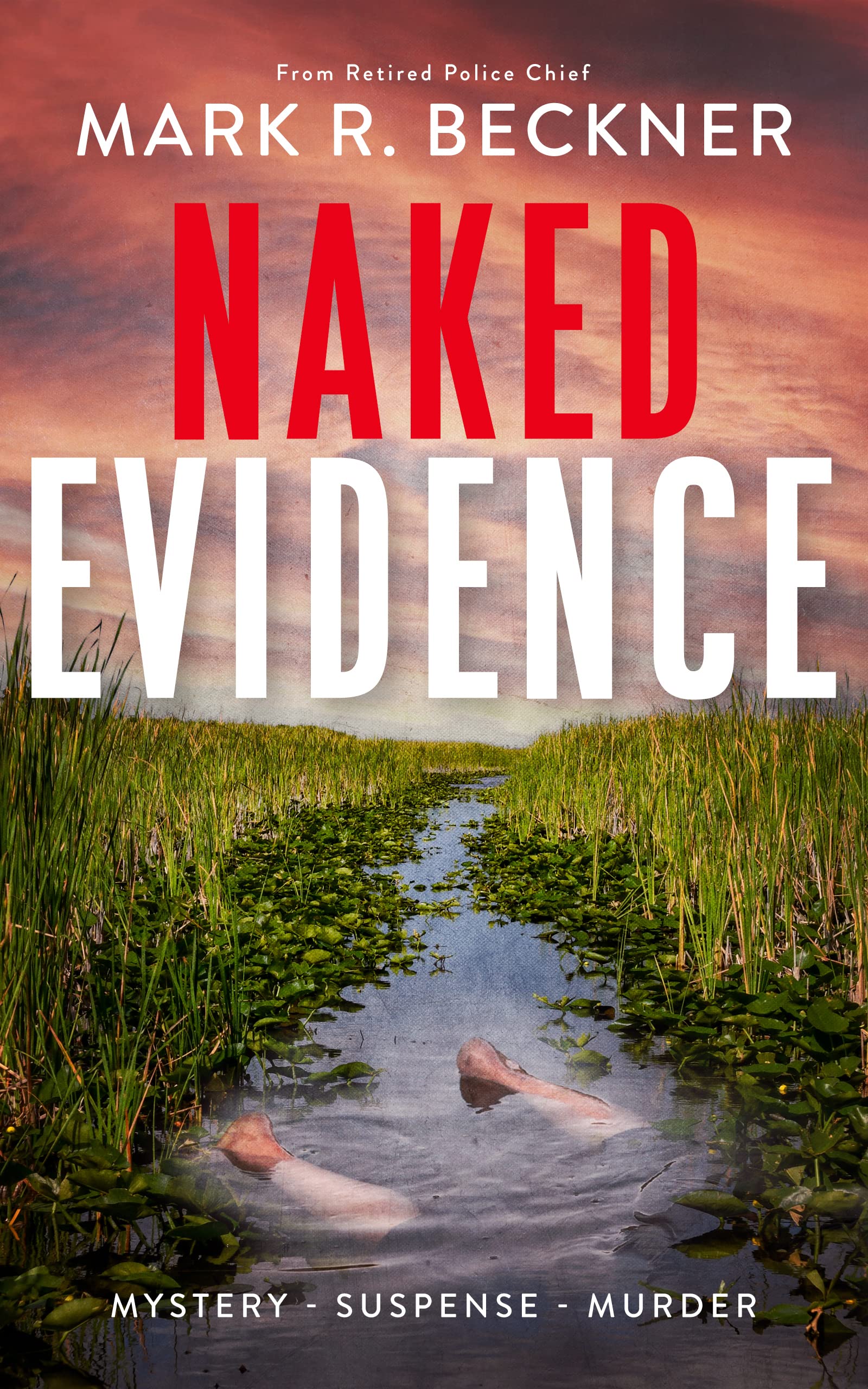 Fantasystorm Nude: The Evidence - cfueg90