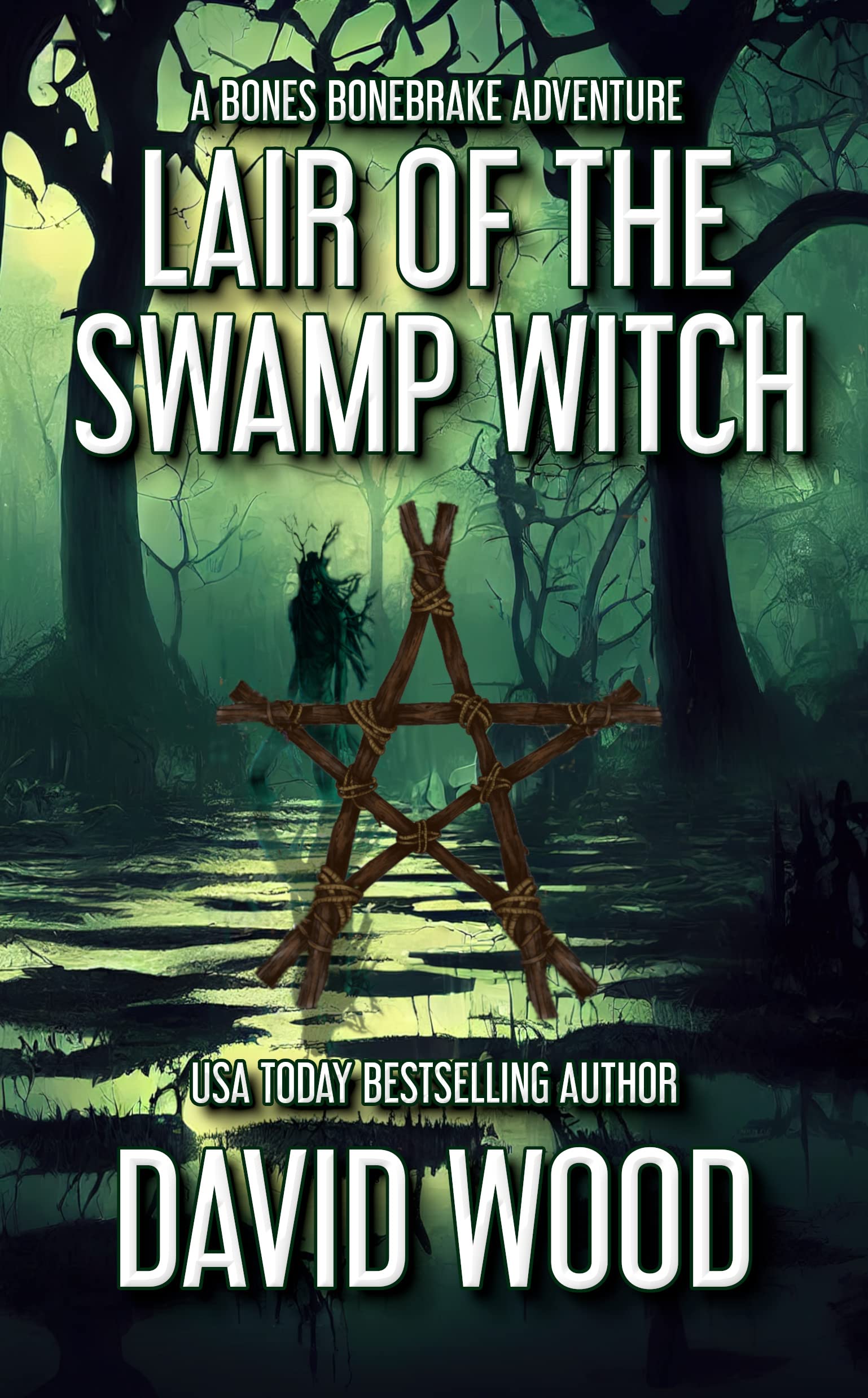 Lair of the Swamp Witch book cover