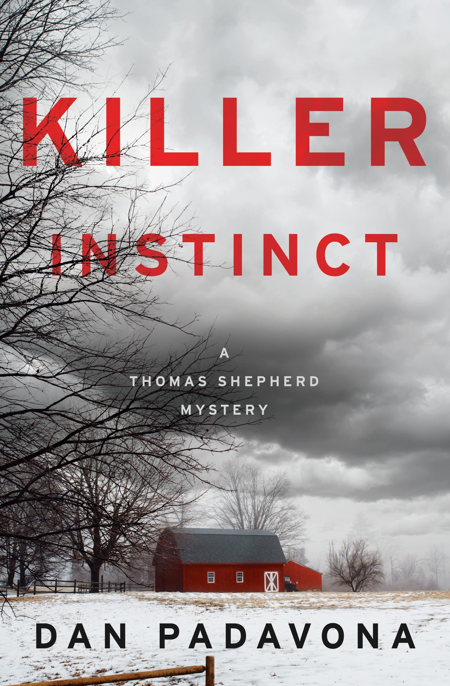 Thomas Shepherd Mystery book cover 3