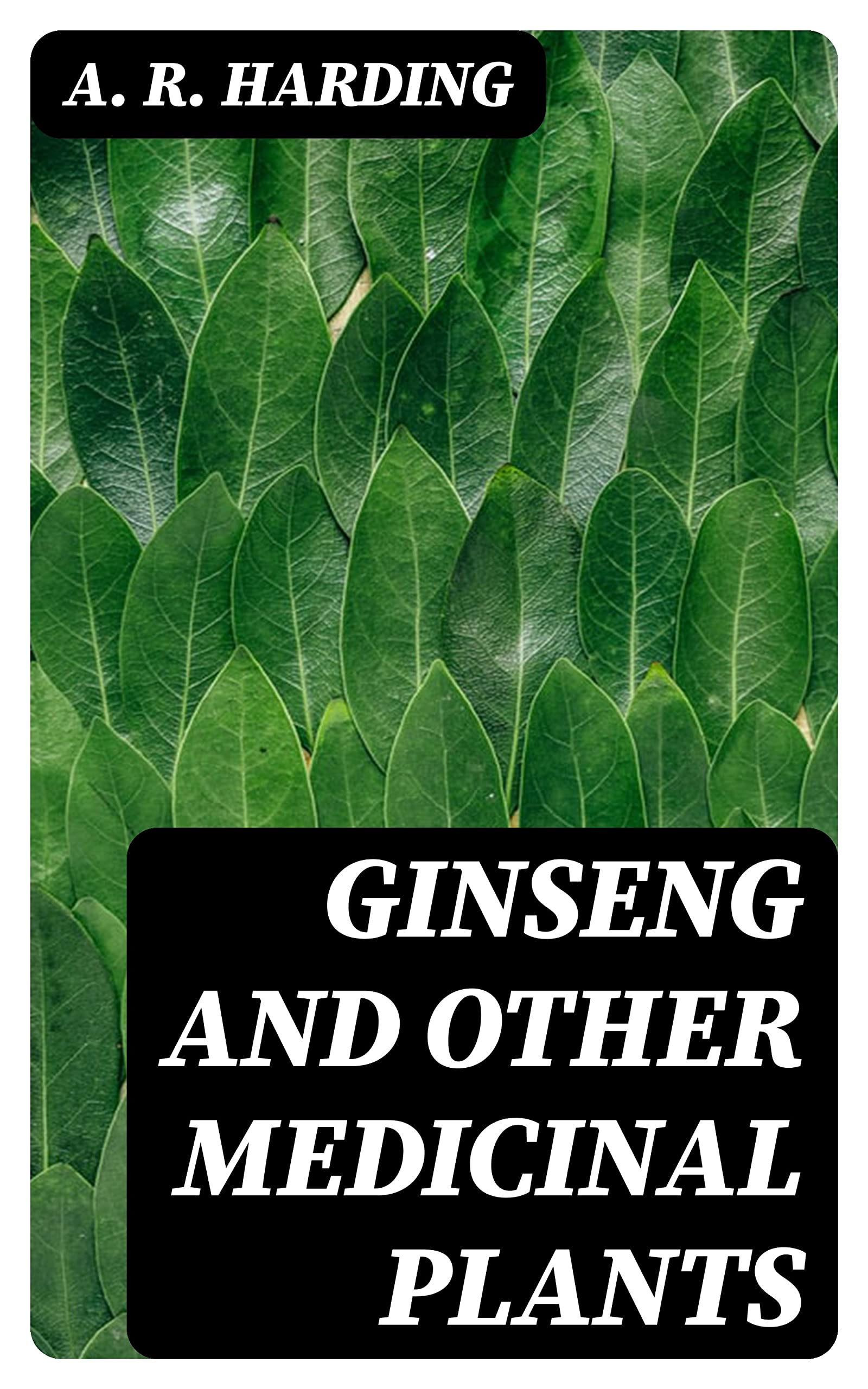 Ginseng and Other Medicinal Plants A Book of Valuable Information for