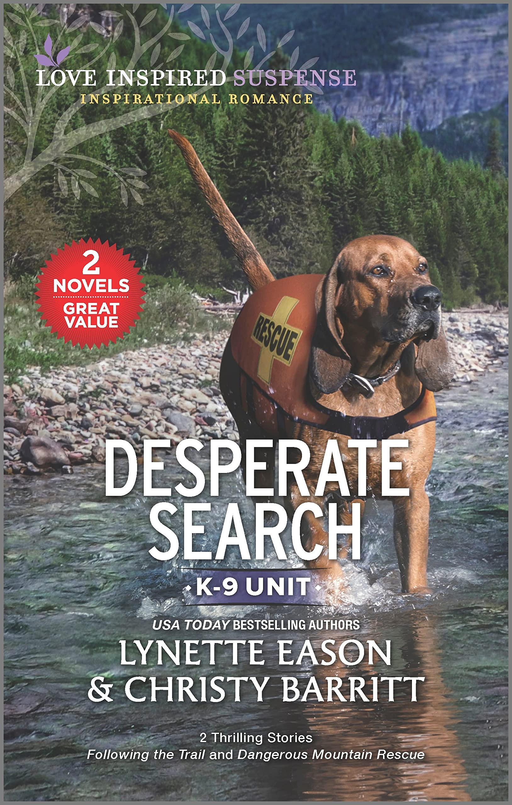 Desperate Search book cover