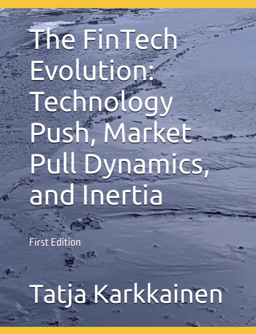 The FinTech Evolution Technology Push, Market Pull Dynamics, and