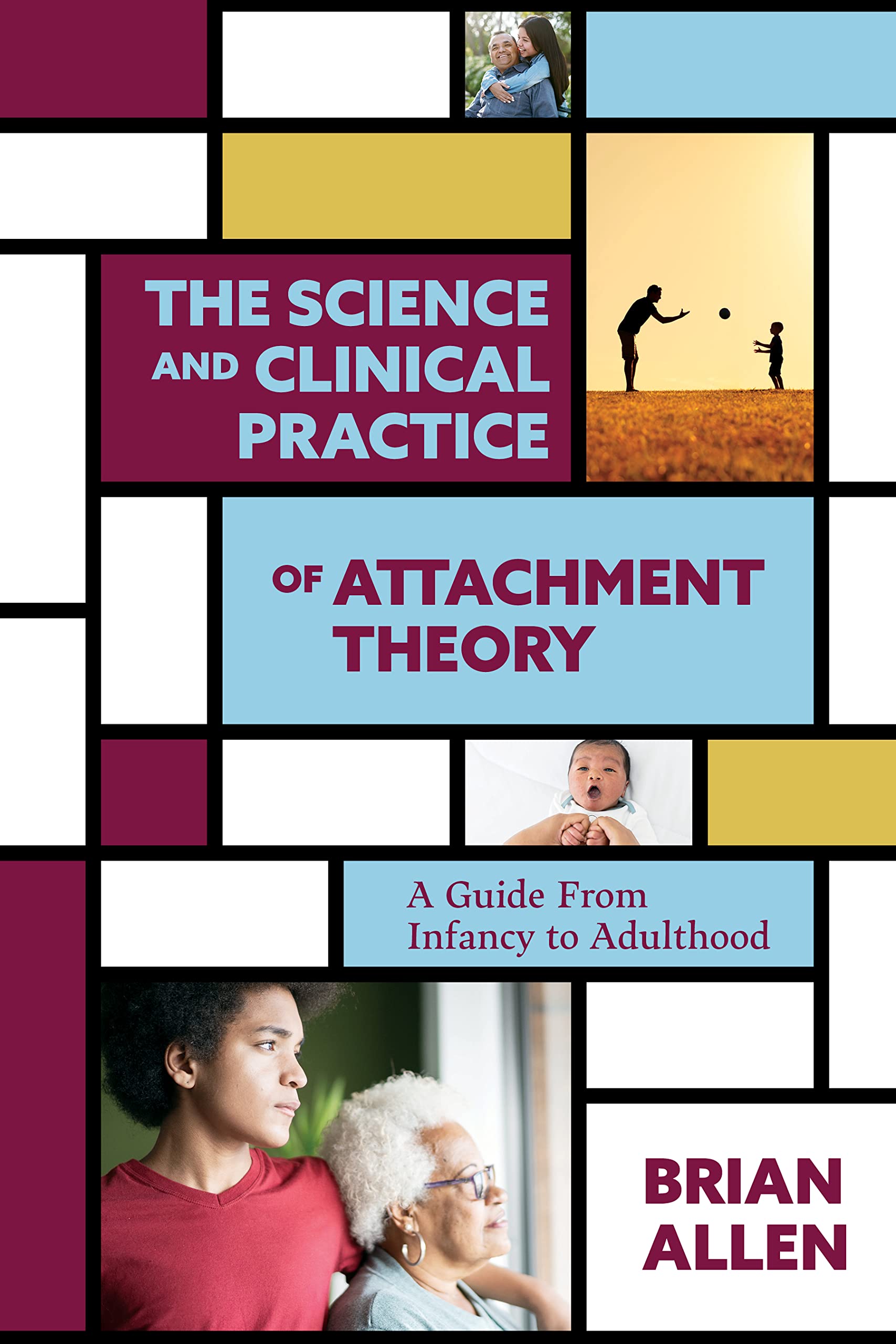 The Science and Clinical Practice of Attachment Theory A Guide From