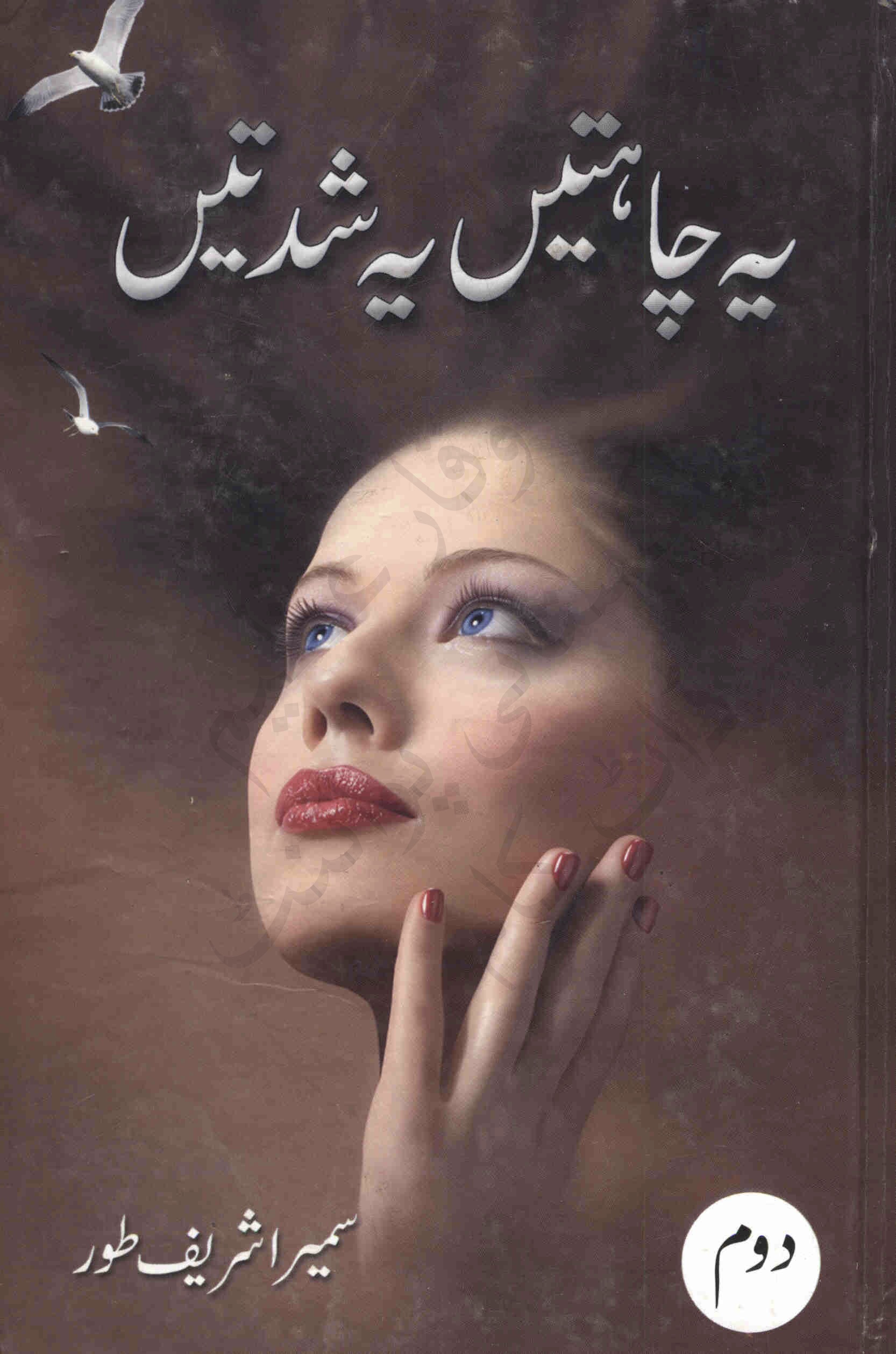 Yeh Chahtain Yeh Shidatain Part 2