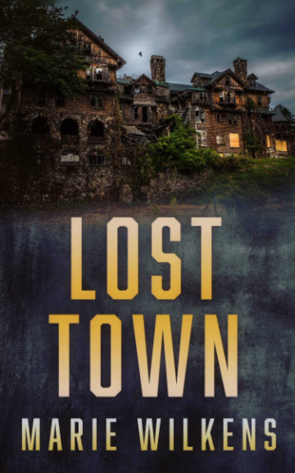 lost-town-a-riveting-kidnapping-mystery-45-by-marie-wilkens-goodreads