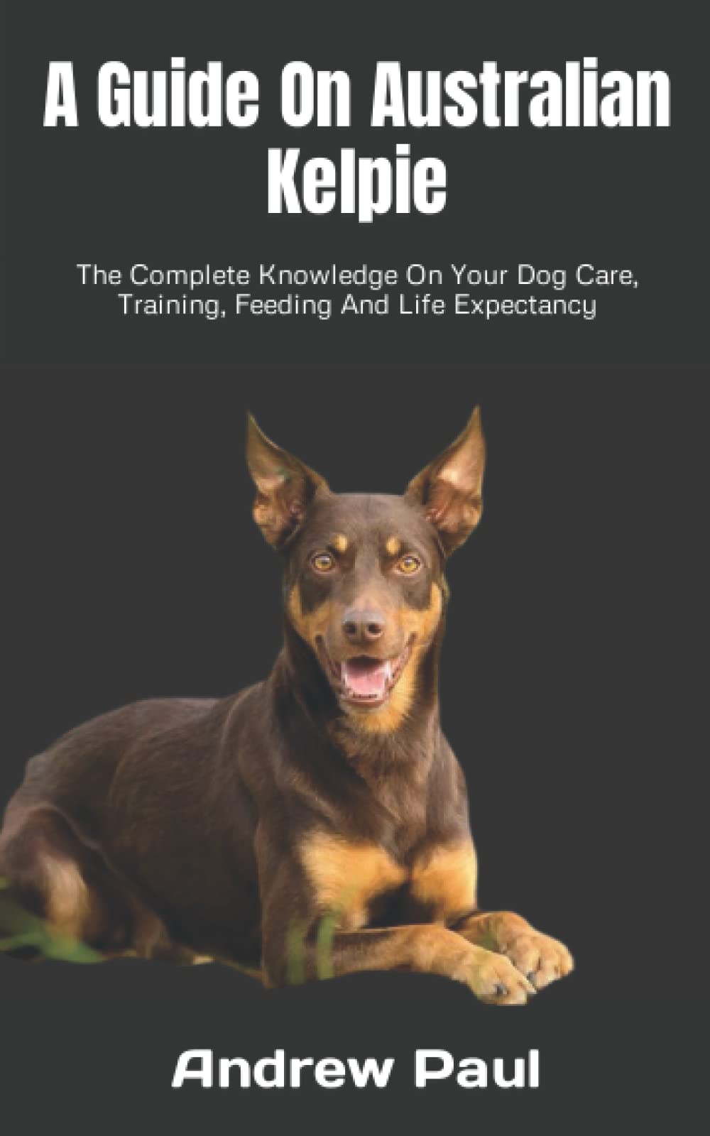 A Guide On Australian Kelpie The Complete Knowledge On Your Dog Care