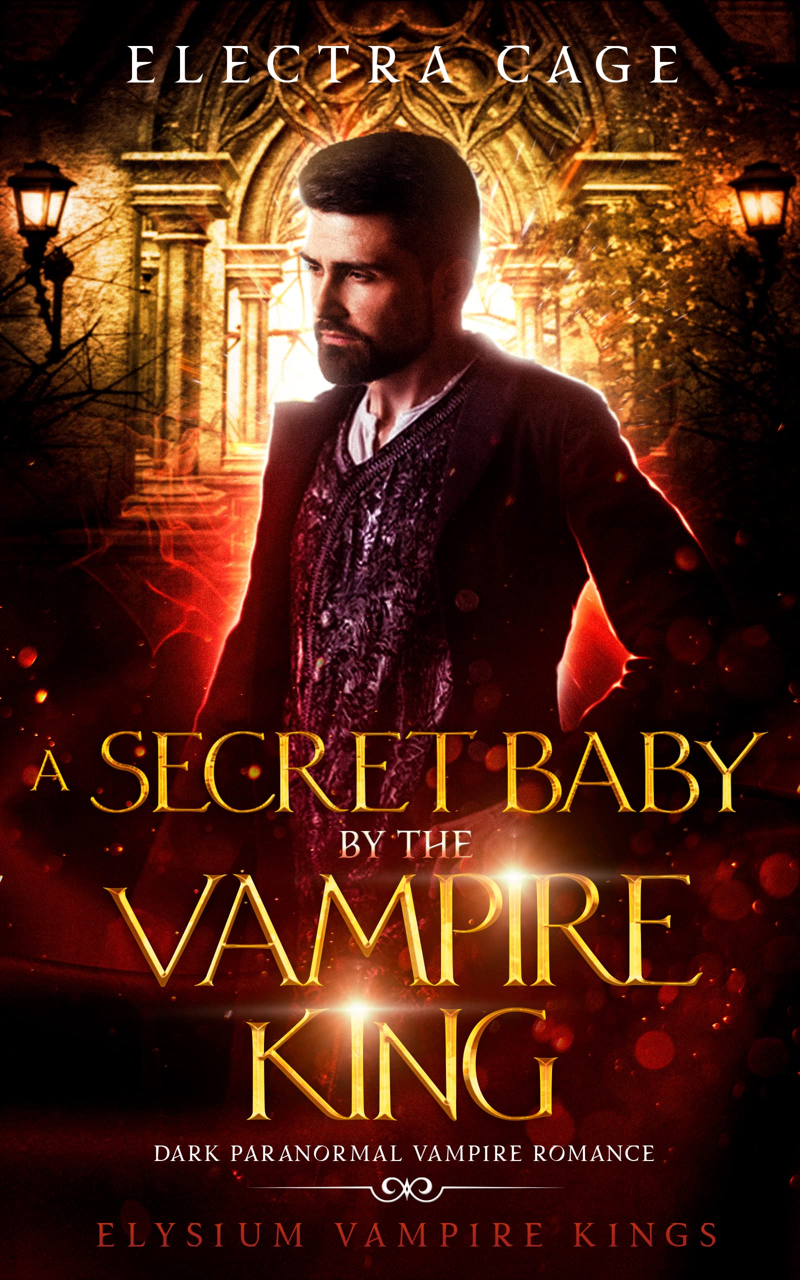 A Secret Baby by the Vampire King