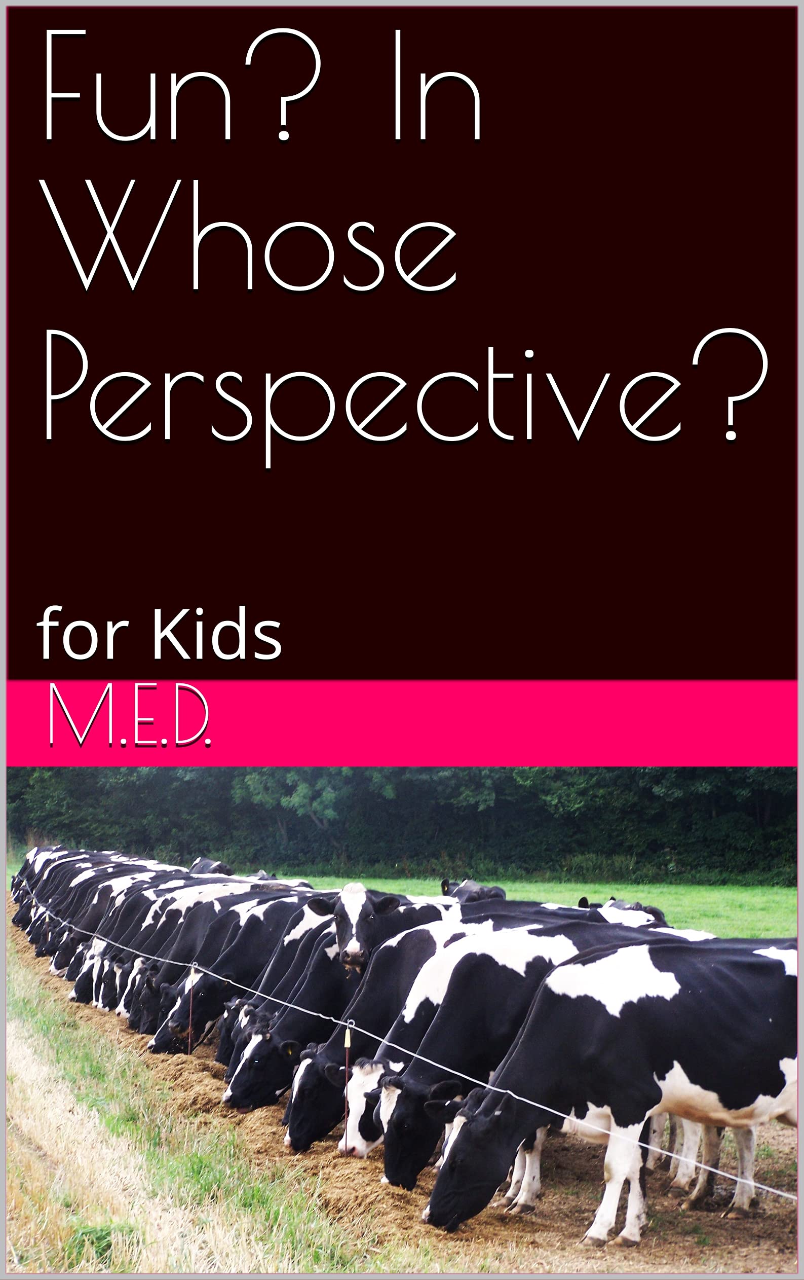 Fun? In Whose Perspective?: Gets real, still For Kids