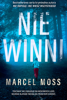 Echo book cover 3