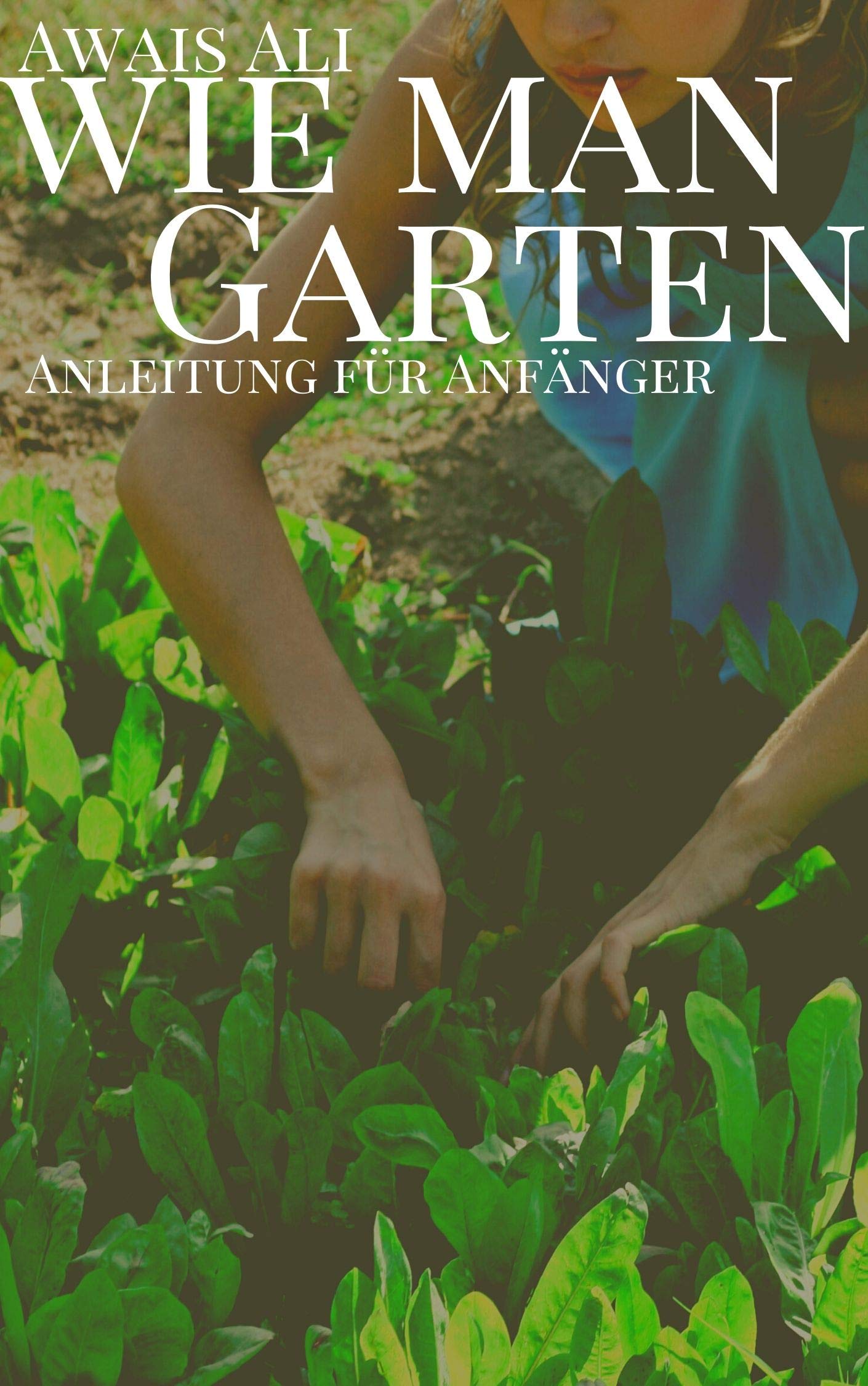 Gartenarbeit: Ein Leitfaden für Anfänger, alles, was Sie wissen müssen, um loszulegen. Die