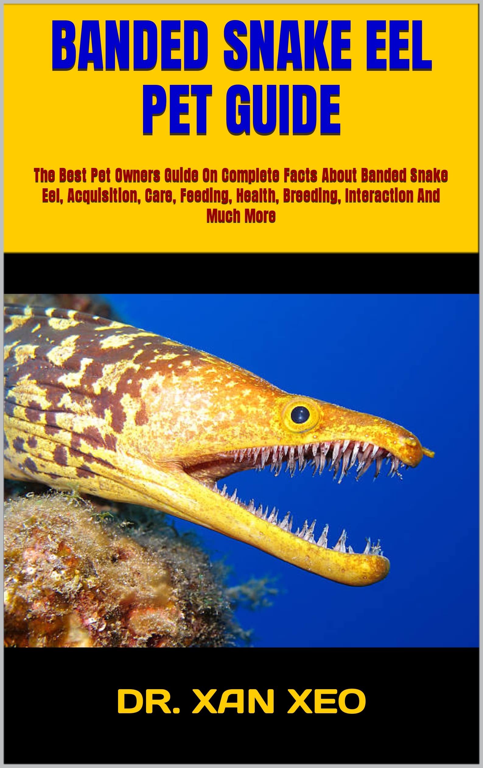 BANDED SNAKE EEL PET GUIDE The Best Pet Owners Guide On Complete