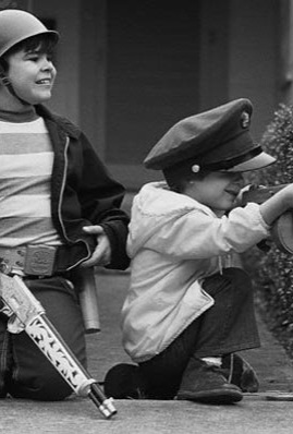 The Ambush book cover