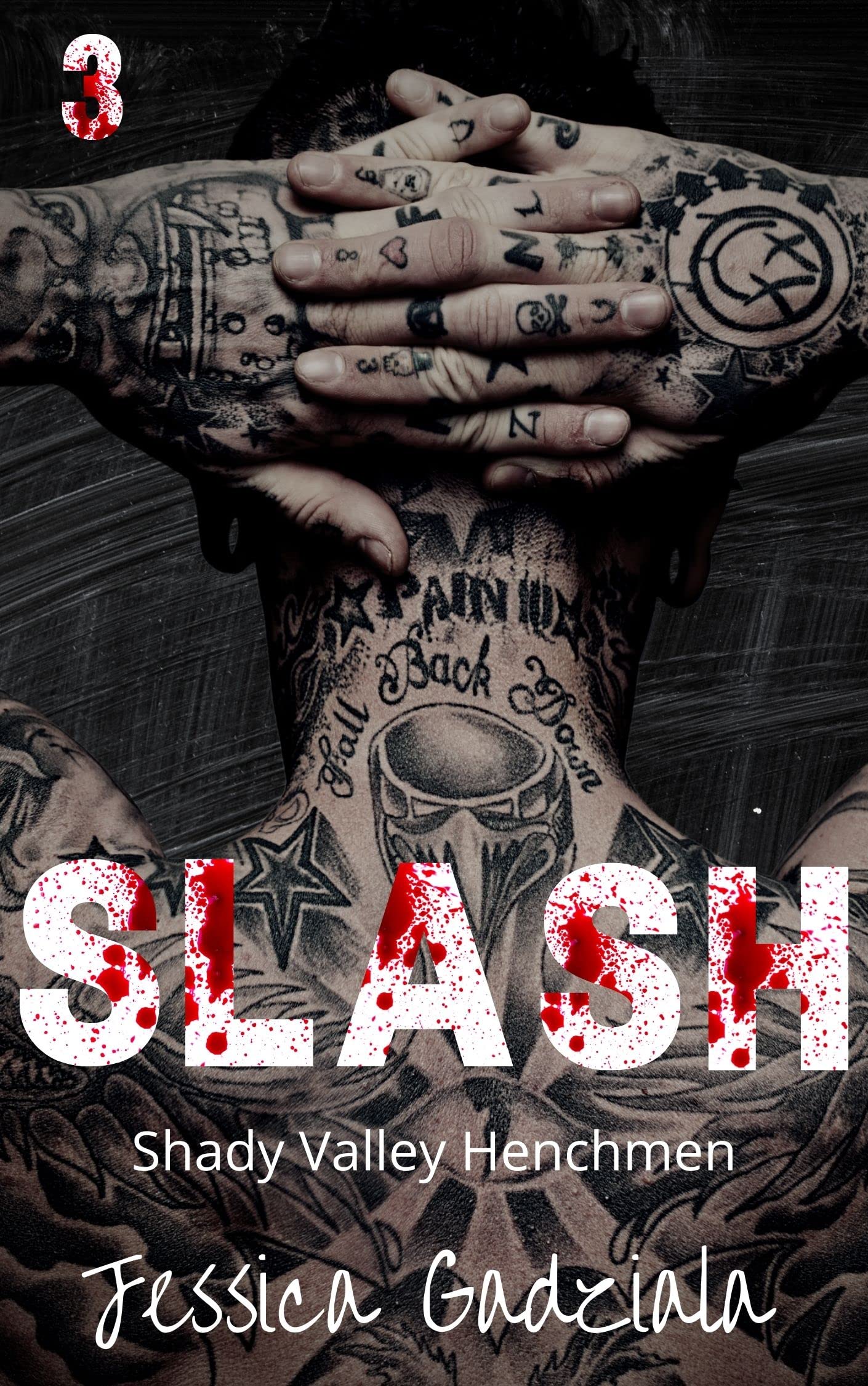 Shady Valley Henchmen book cover 3