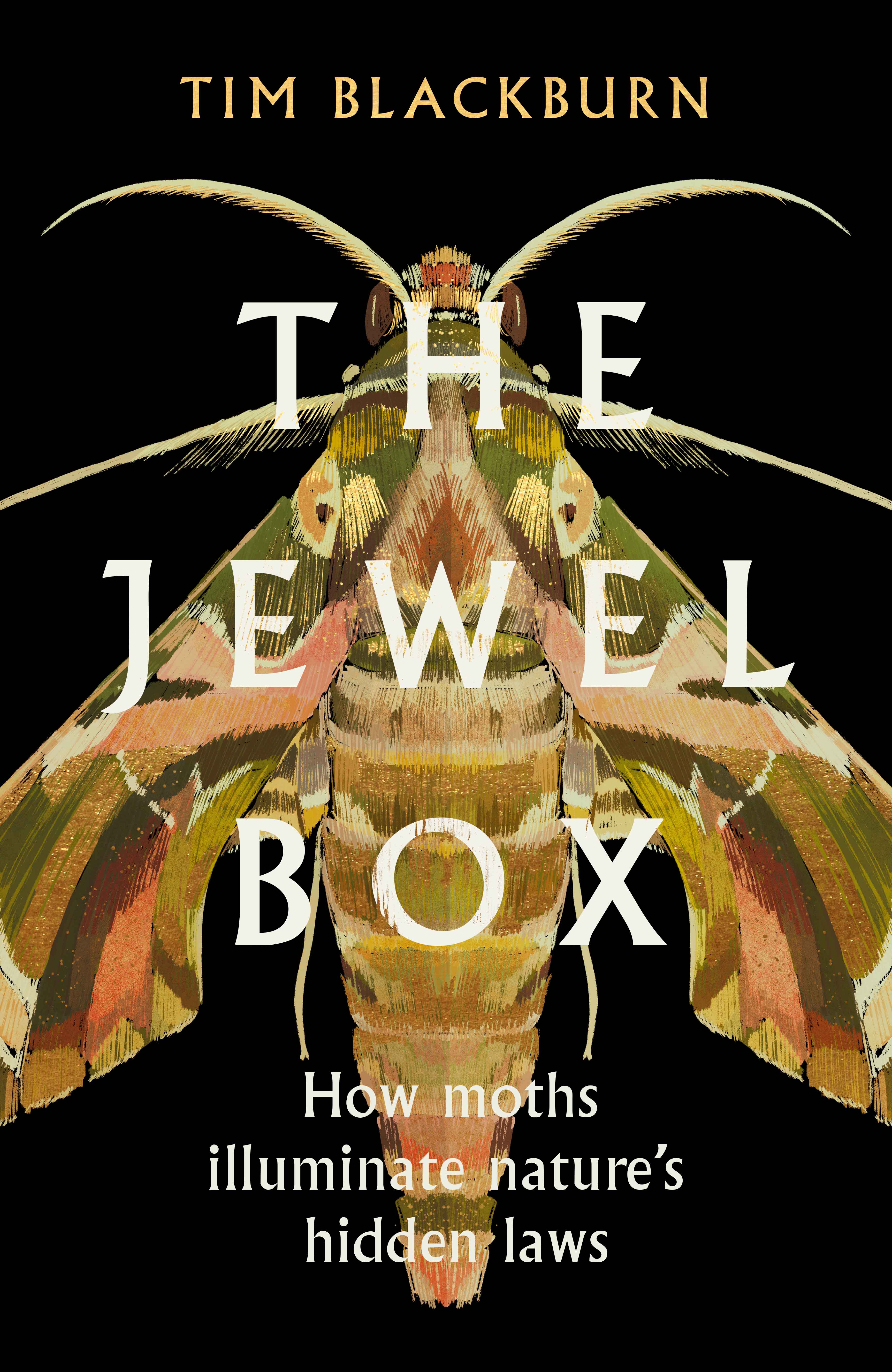 The Jewel Box: How Moths Illuminate Nature’s Hidden Rules