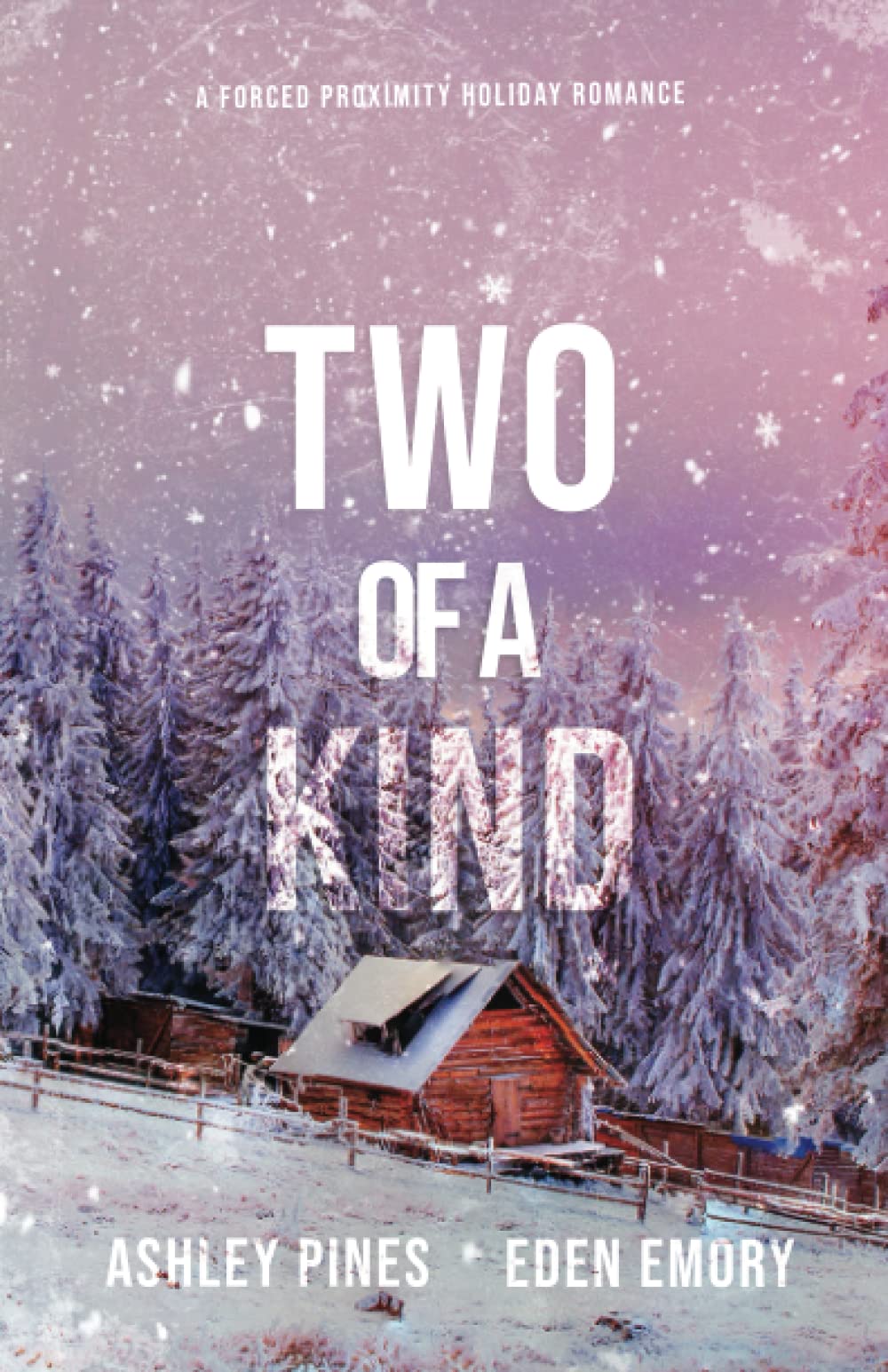 Two of a Kind: A forced proximity sapphic holiday romance