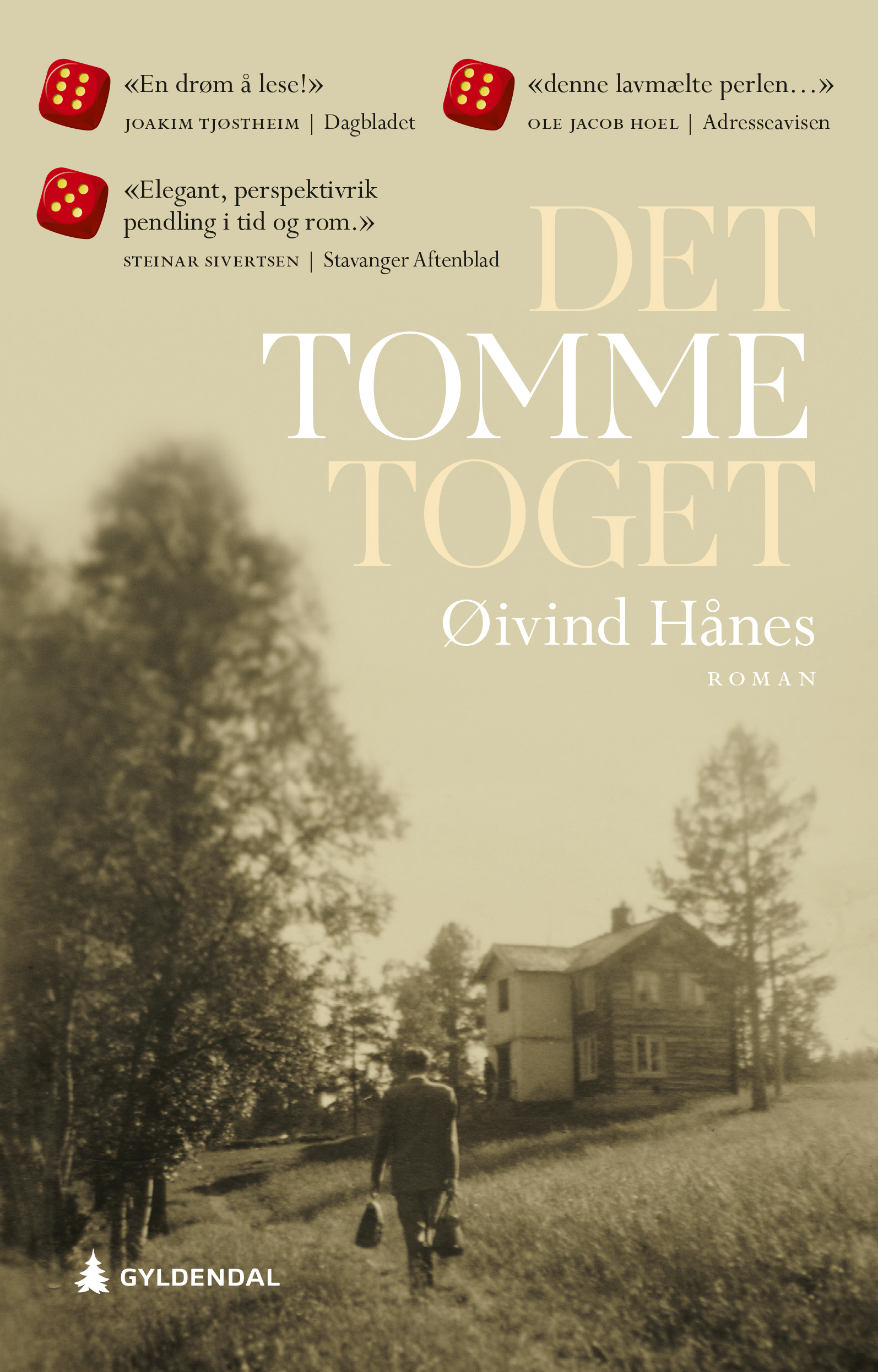 Det tomme toget book cover