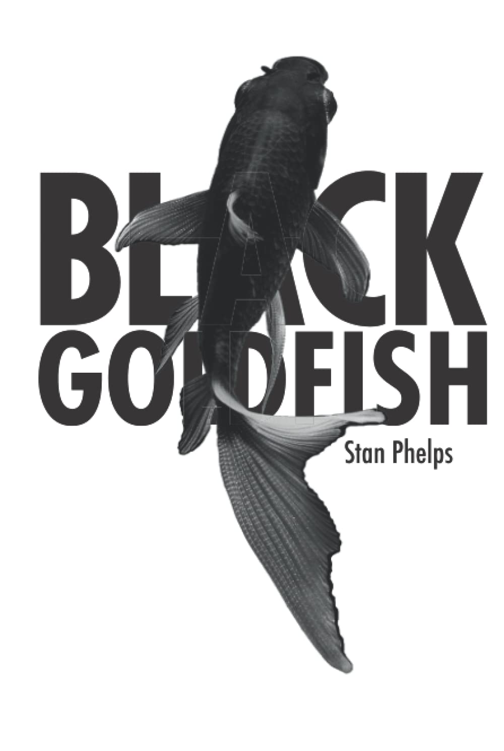 Photo inspiration: Fresh Look at Black Goldfish 10 Keys To Creating A Differentiated Experience By