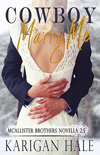 McAllister Brothers book cover 3