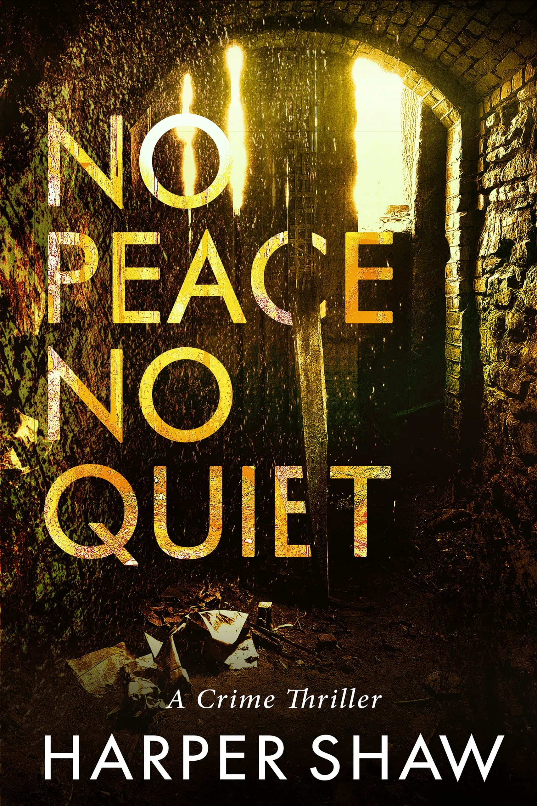 No Peace No Quiet: A Crime Thriller