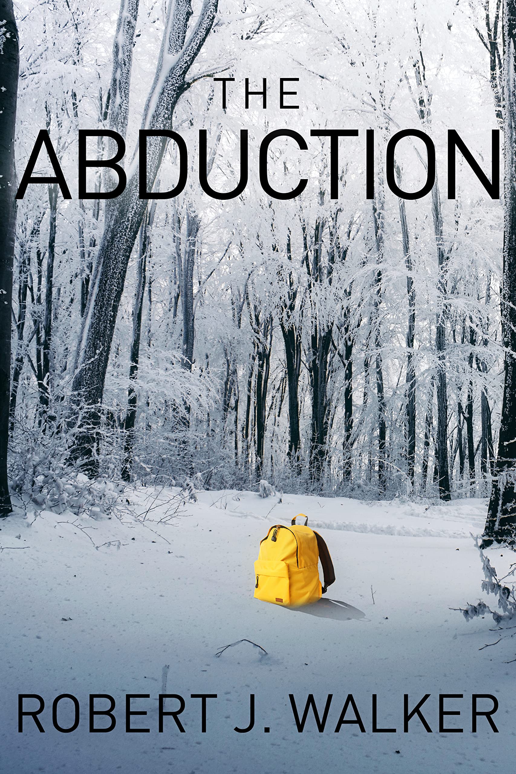 The Abduction:A Riveting Small Town Kidnapping Mystery