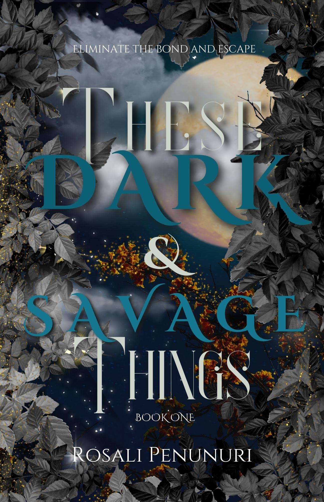 These Dark & Savage Things