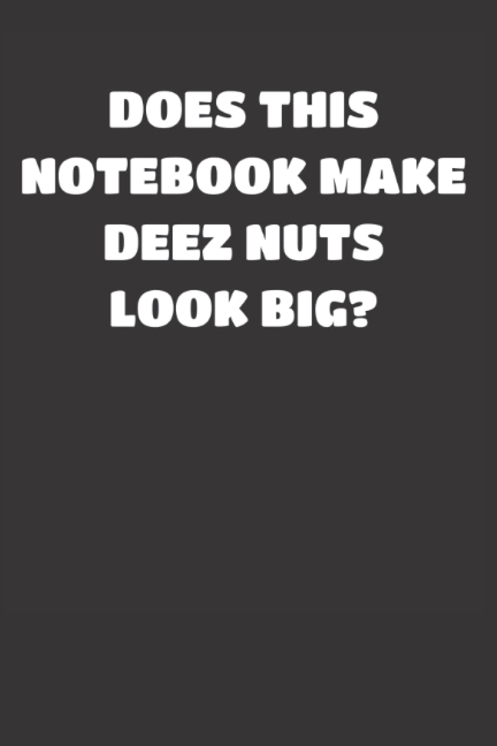 Does This Notebook Make Deez Nuts Look Big? Funny adult humor journal