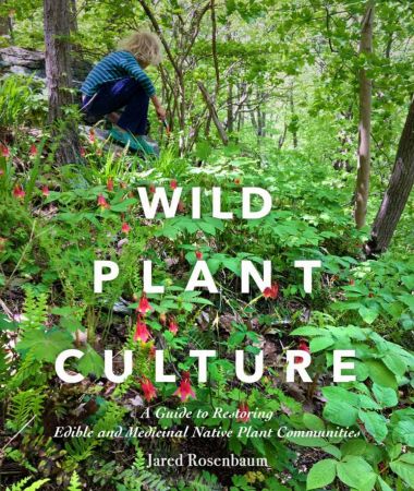 Wild Plant Culture: A Guide to Restoring Edible and Medicinal Native Plant Communities