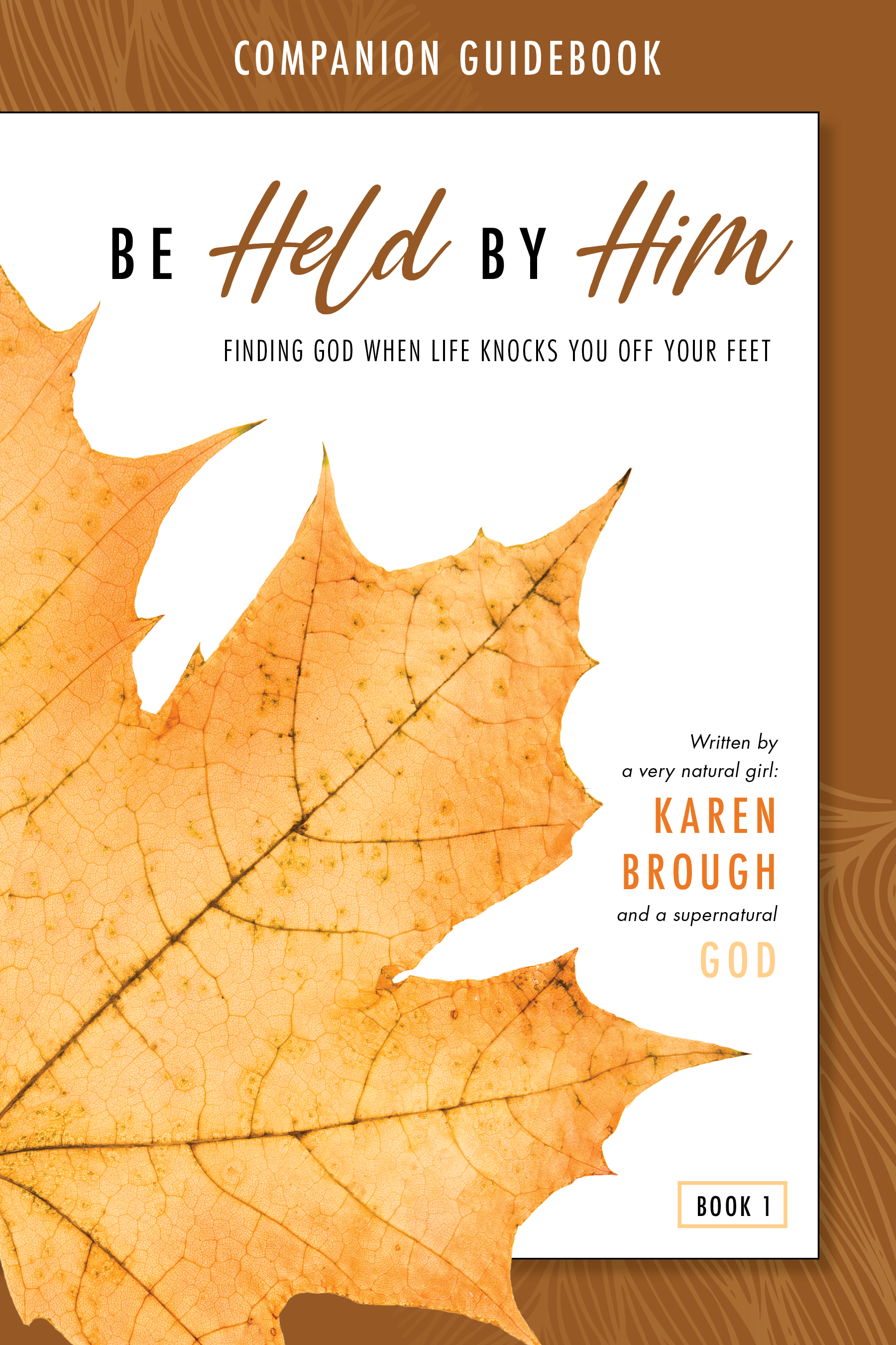 Be Held By Him Companion Guidebook: Finding God When Life Knocks You Off Your Feet