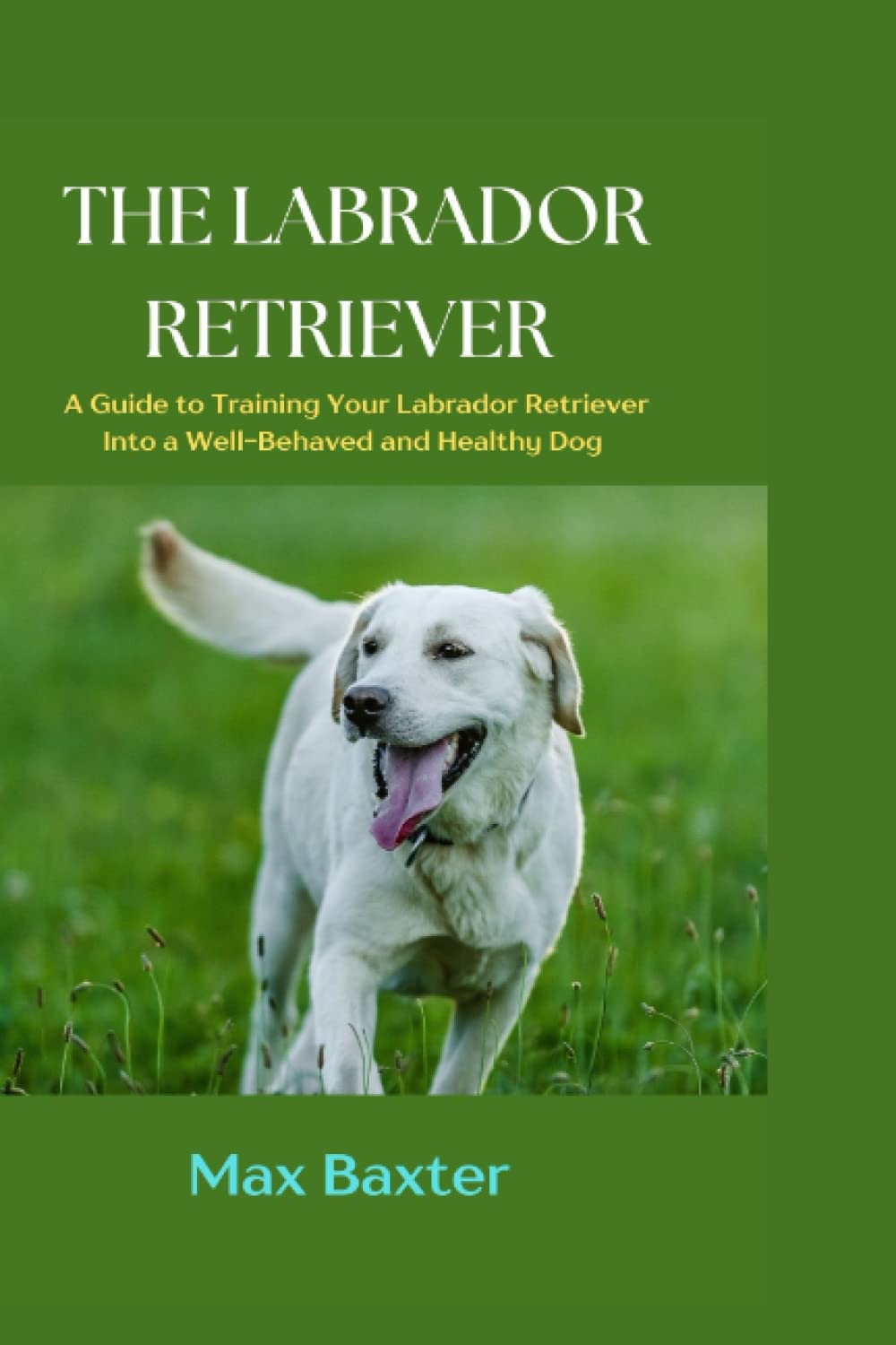 THE LABRADOR RETRIEVER A Guide to Training Your Labrador Retriever