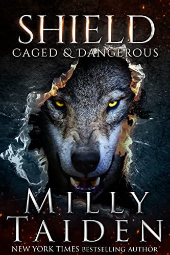 Shield book cover