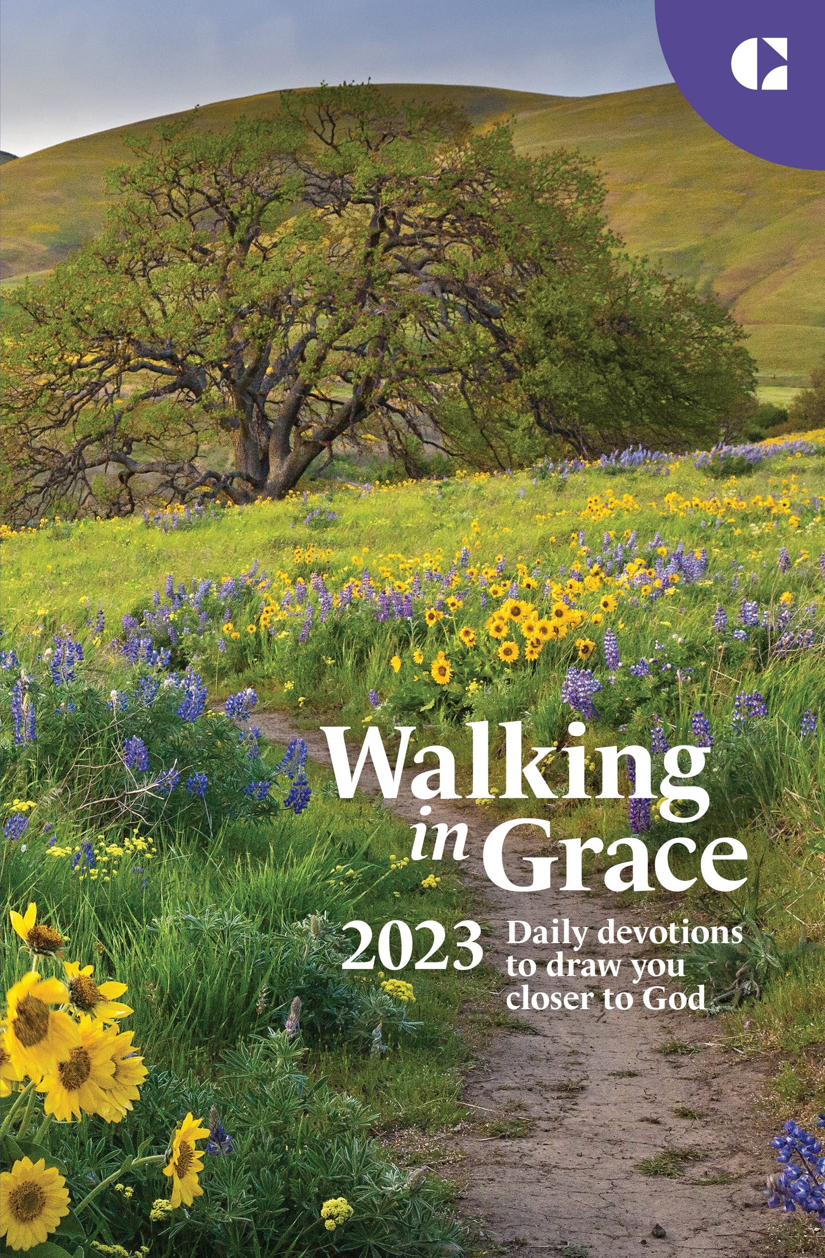 Walking in Grace 2023 book cover