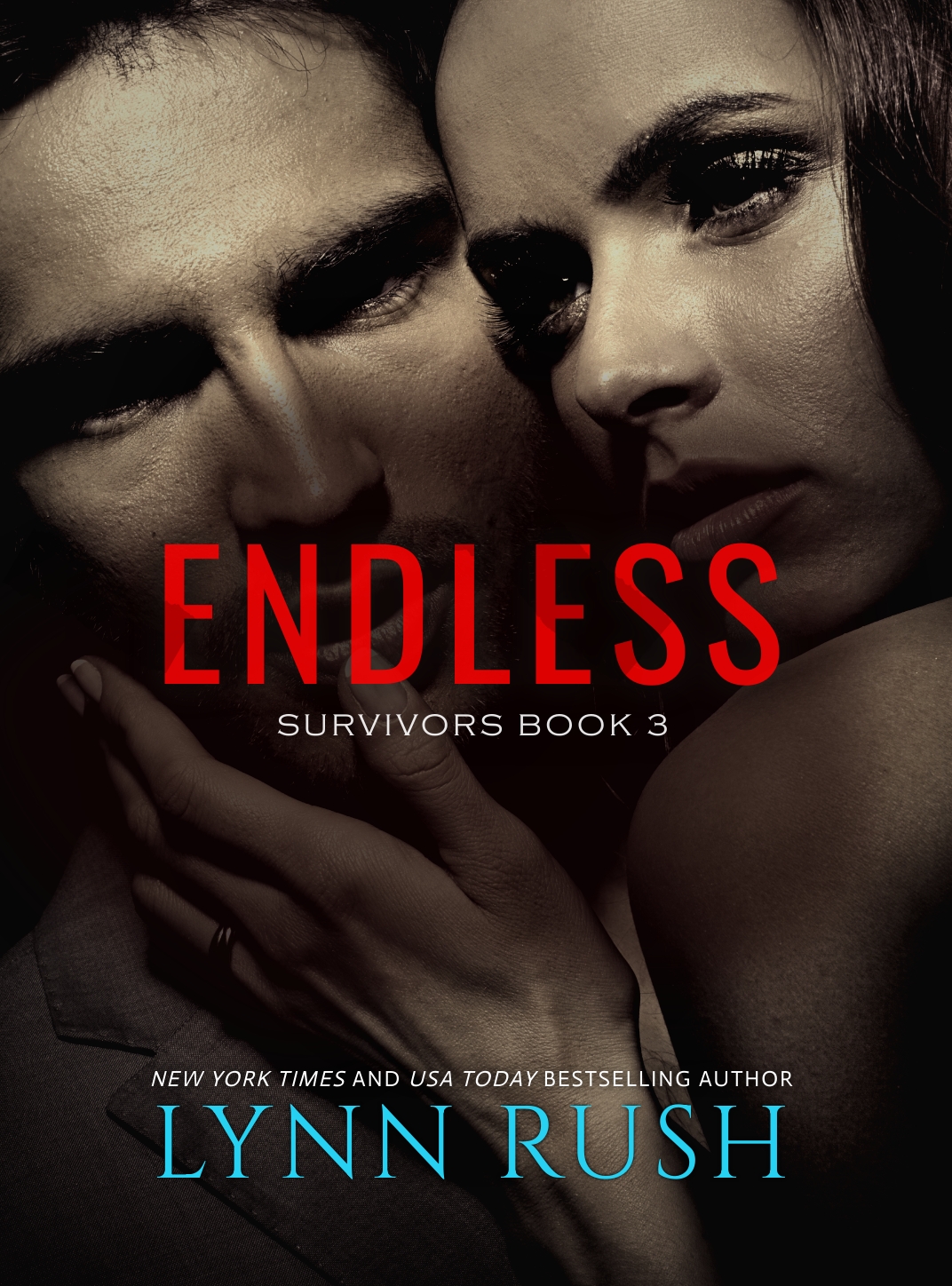 Endless book cover