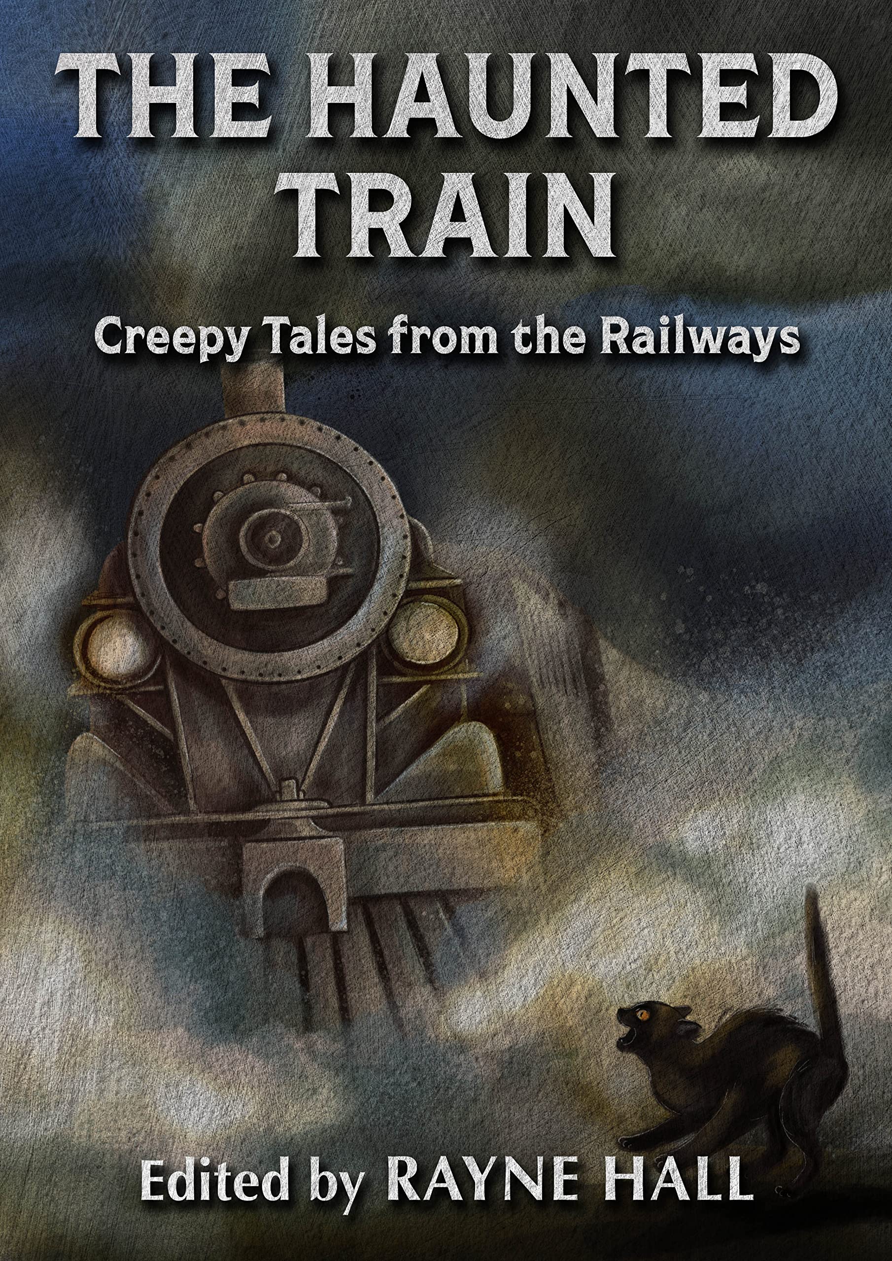 The Haunted Train book cover