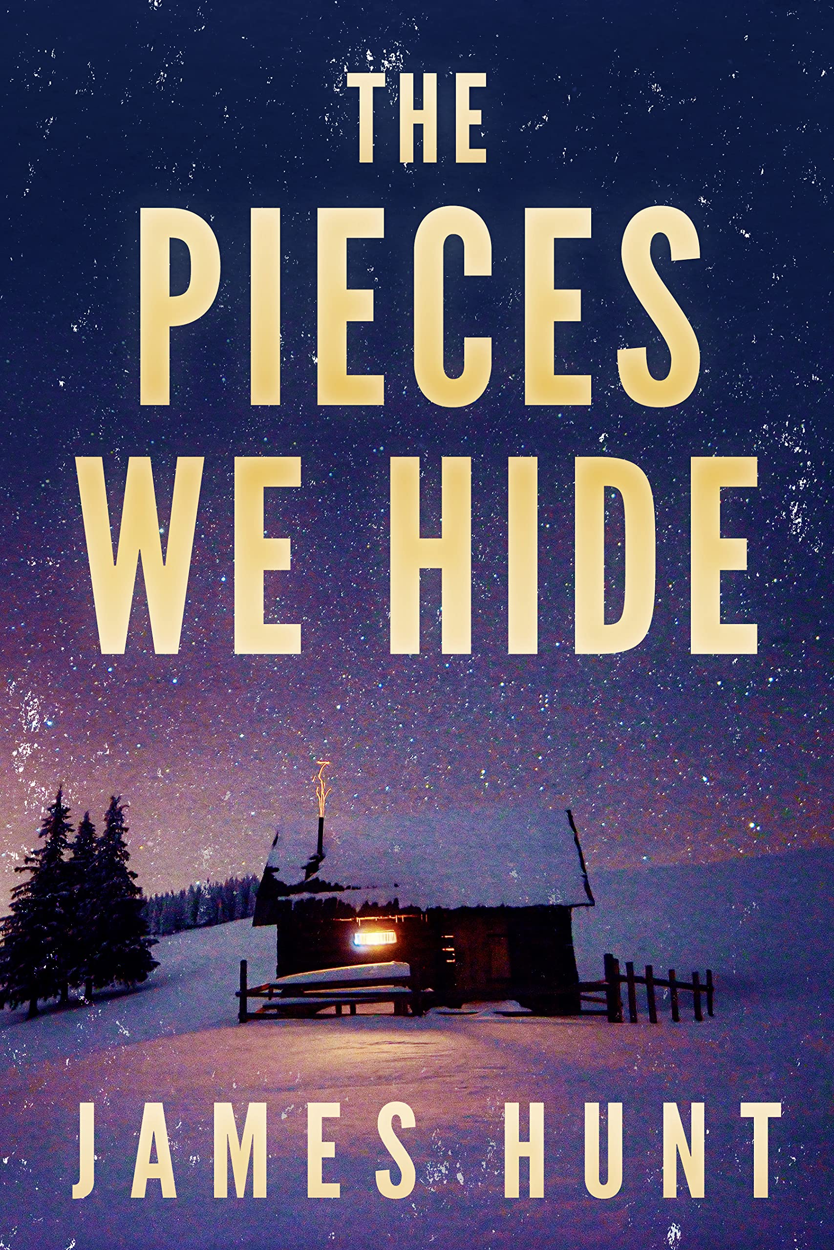 The Pieces We Hide book cover